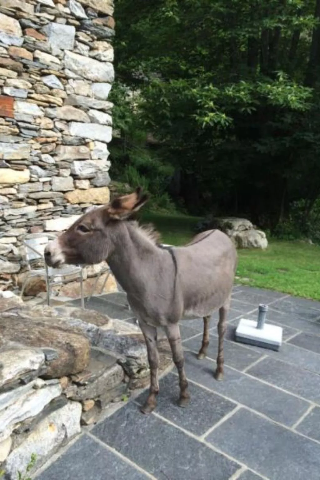 Weg von der Zuvielisation-Buiten