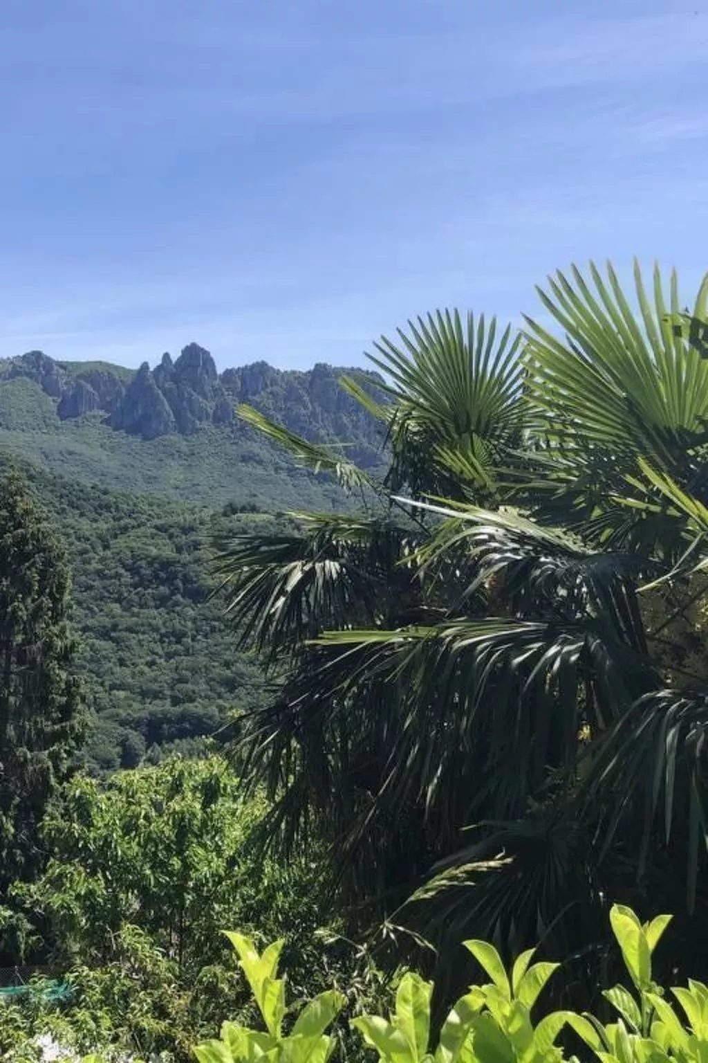 Casa al Vento-Image-tags.info