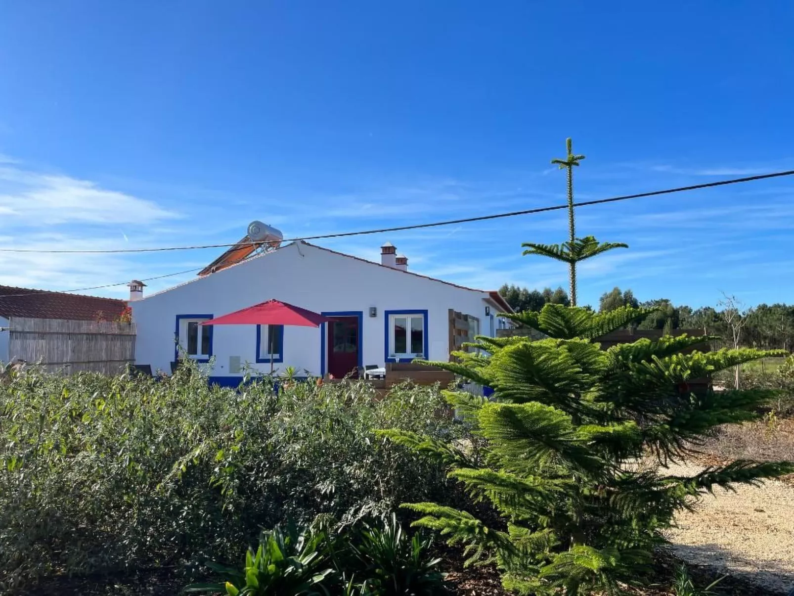 Auf dem Lande in der Nähe des Strandes-Buiten