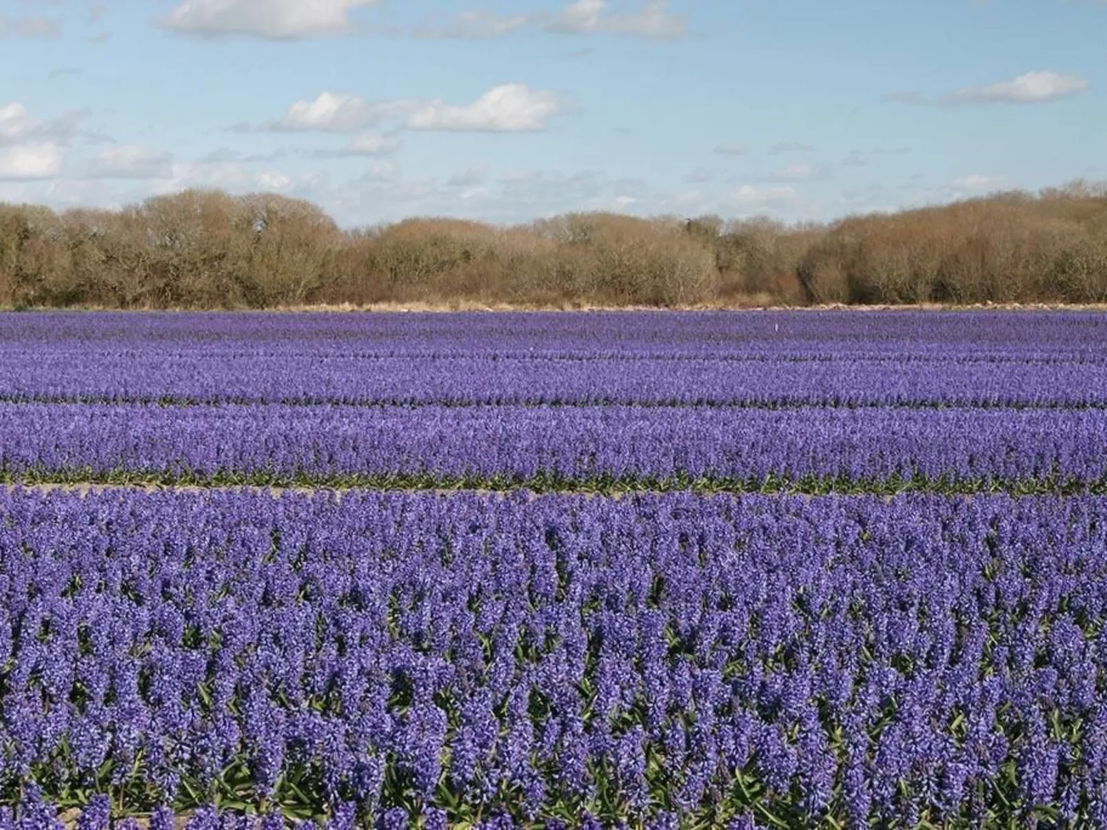 Domäne "Gîte de Languivoa" (Unterkunft in Languivoa)-Buiten
