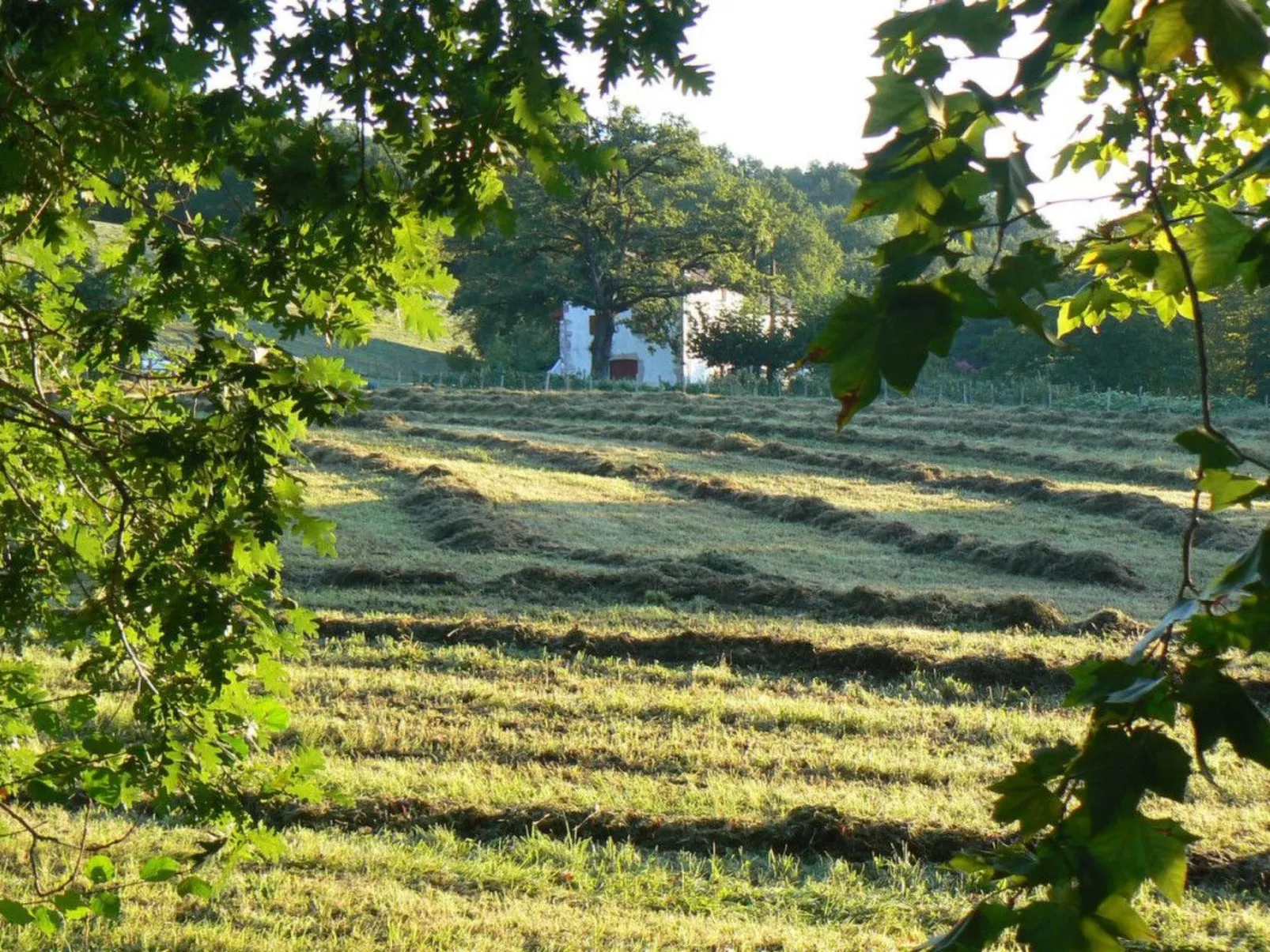 Fewo mit Terrasse-Buiten