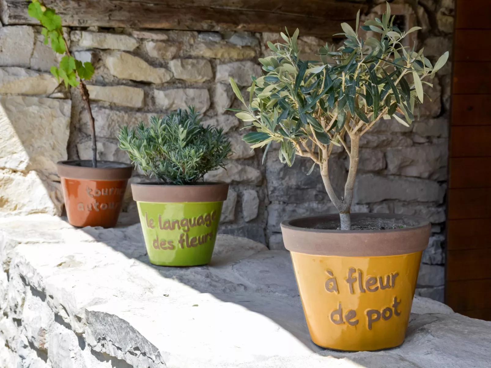 Domäne "Pavillon Mathéo" mit Infinity-Pool-Buiten