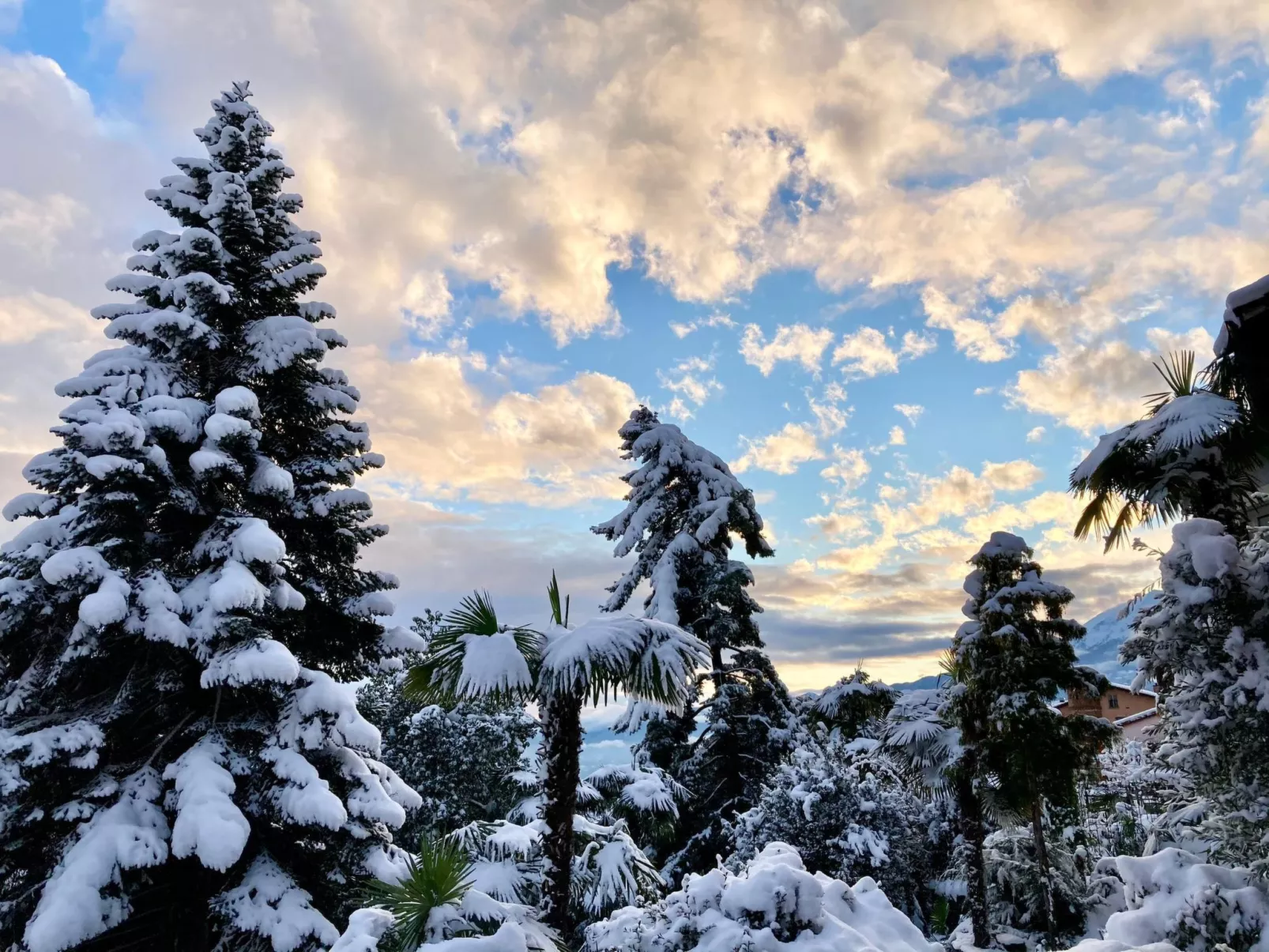 Casa Reduit Giardino-Buiten