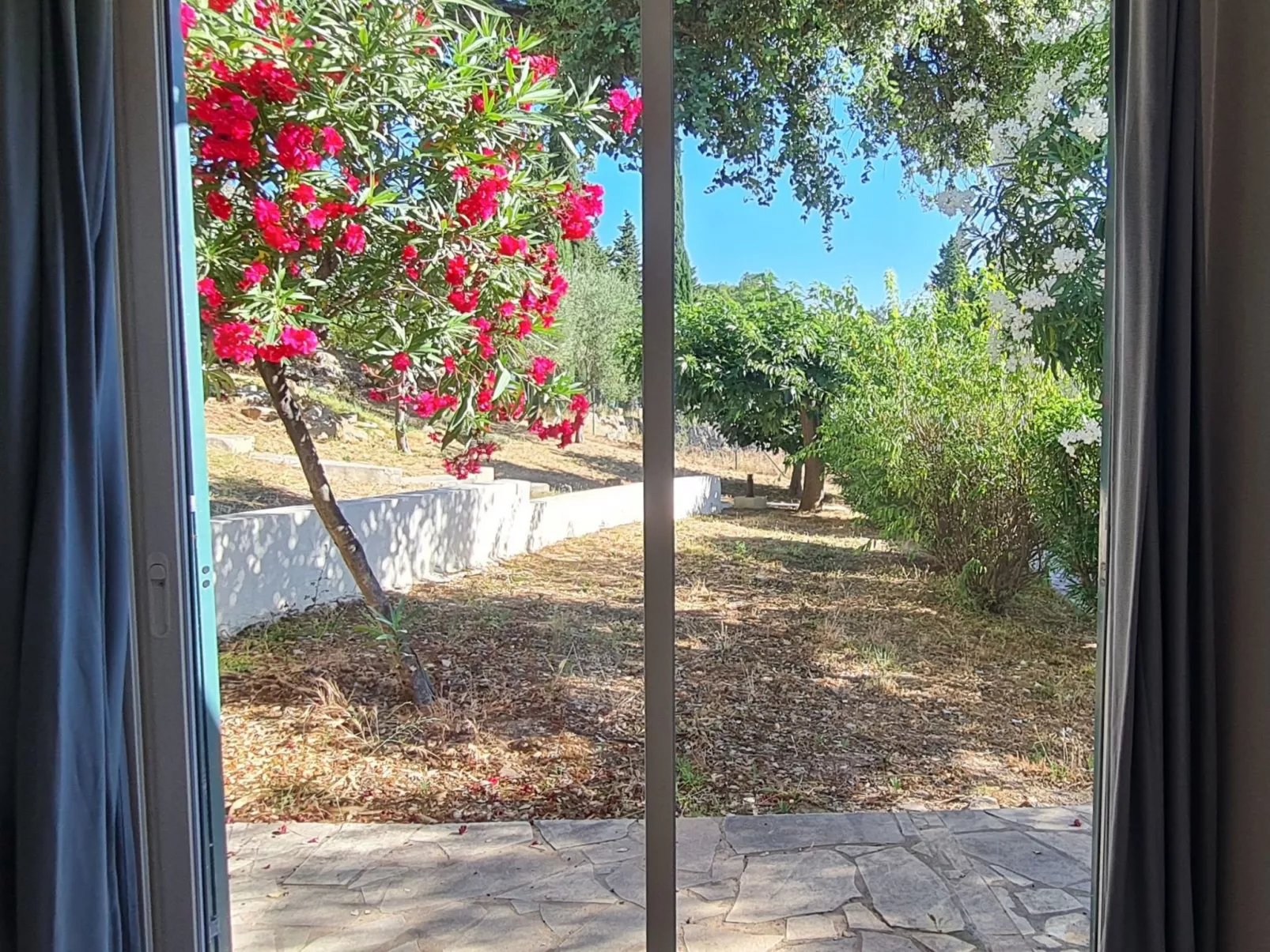 Im Herzen der Weinberge, schattige Terrasse umgeben von Grün, Pool - Buiten