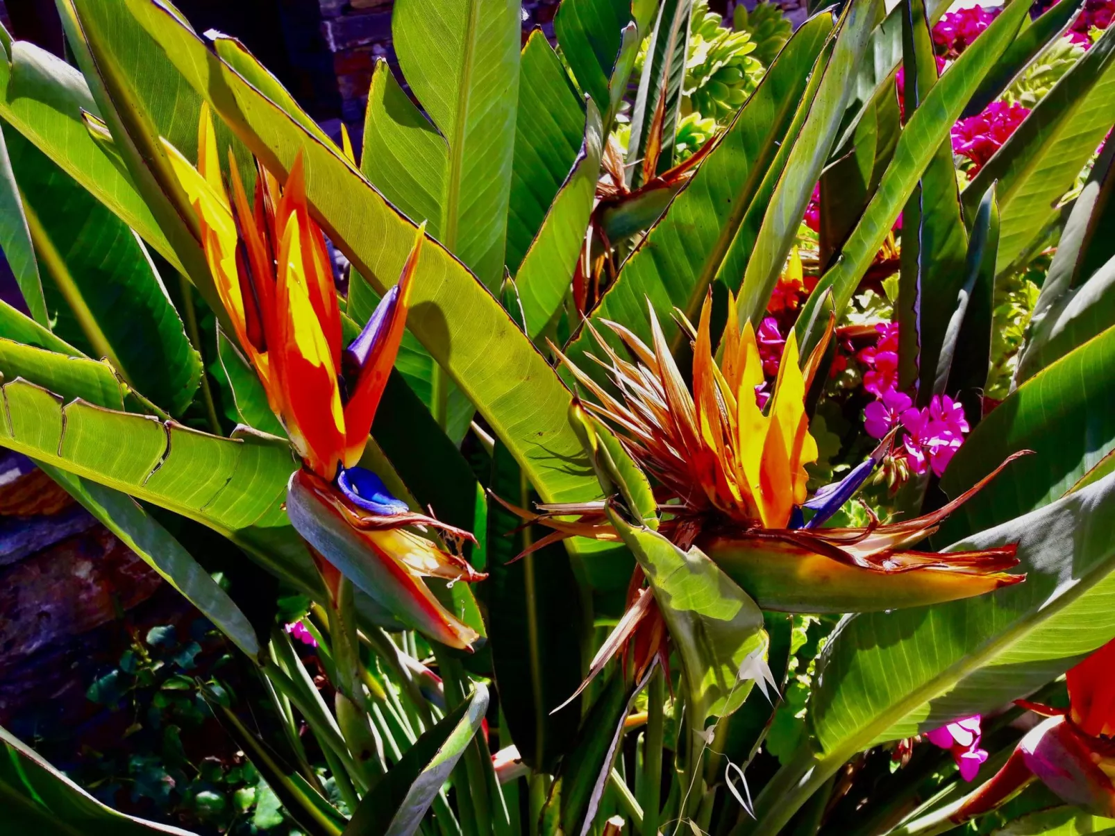 Luxuriöse, ruhige Wohnung direkt am Meer - Privatstrand-Buiten