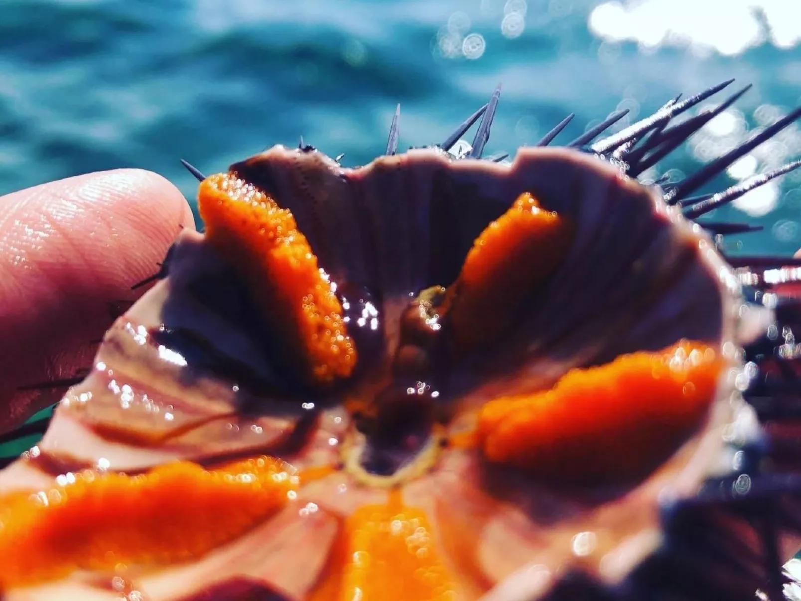 Villa mit privatem Pool-Image-tags.info