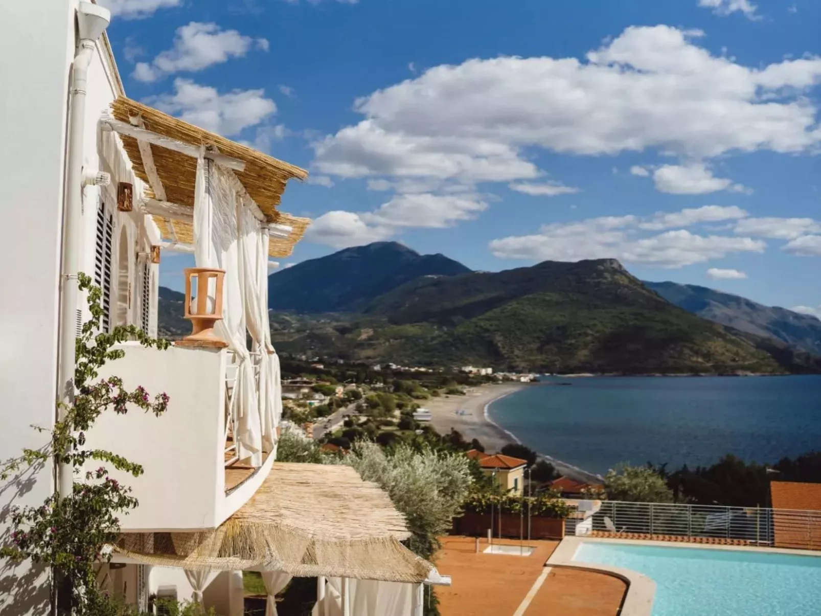 Flach violett-Buiten