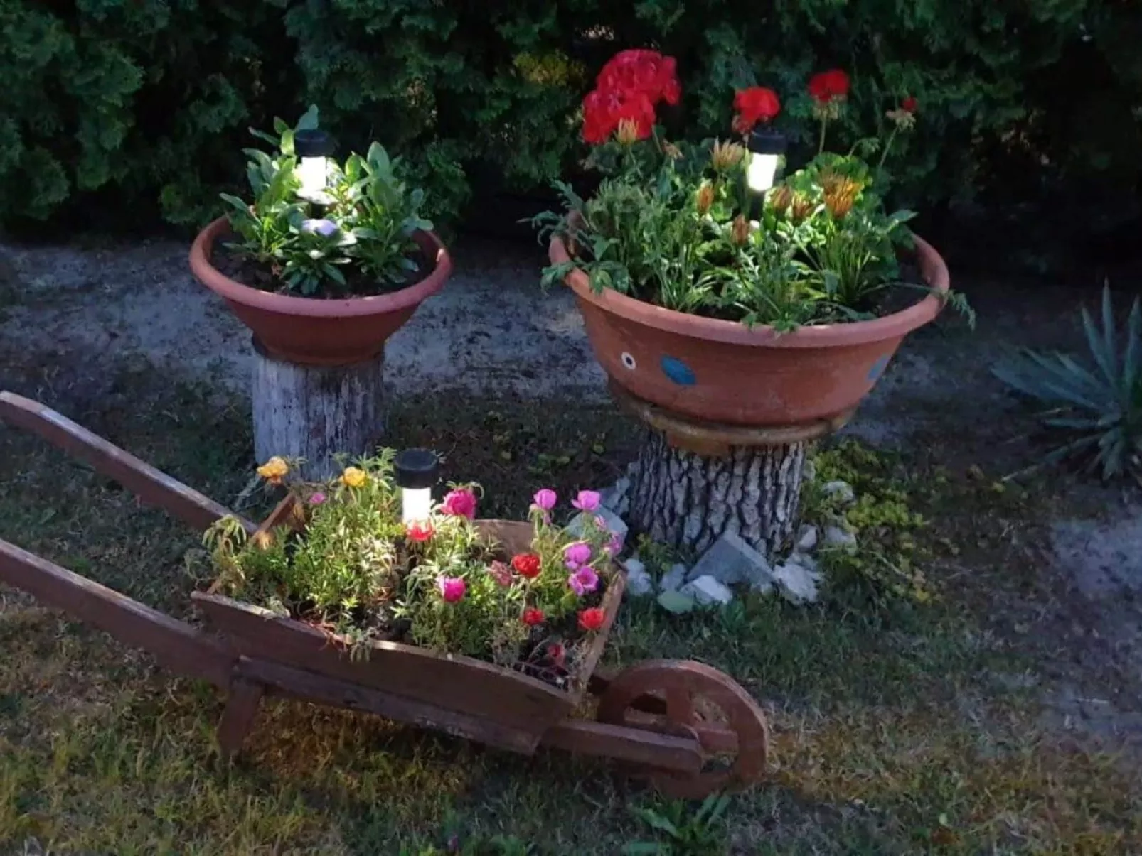 Gitta Hasz-Image-tags.info