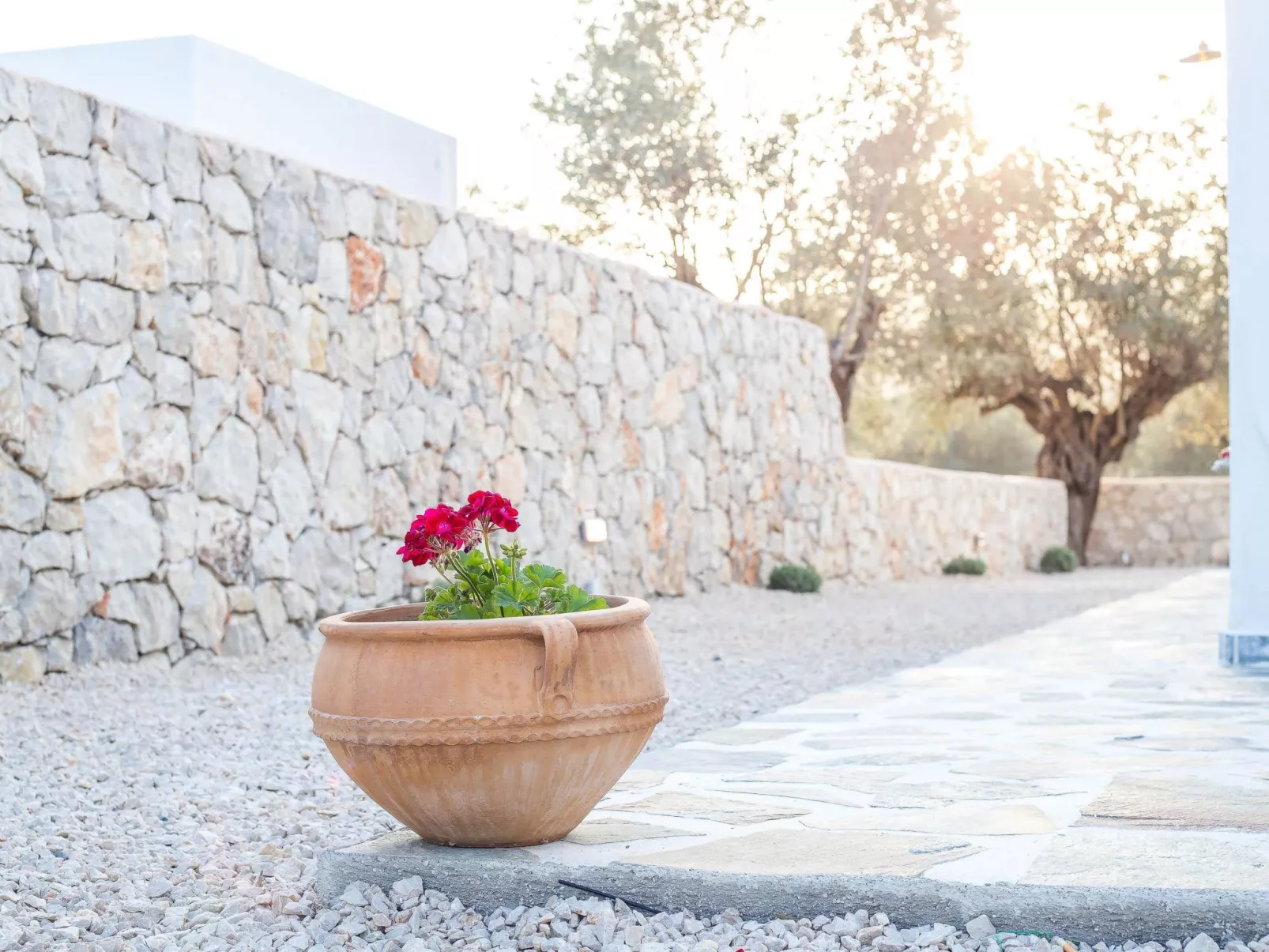 Kalathos Dream - Weißer Traum-Buiten