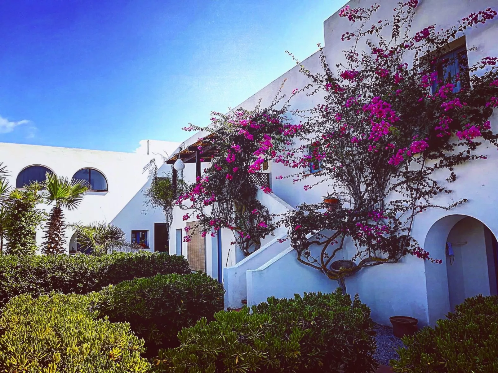 Exotic Suite in Pantelleria-Image-tags.info