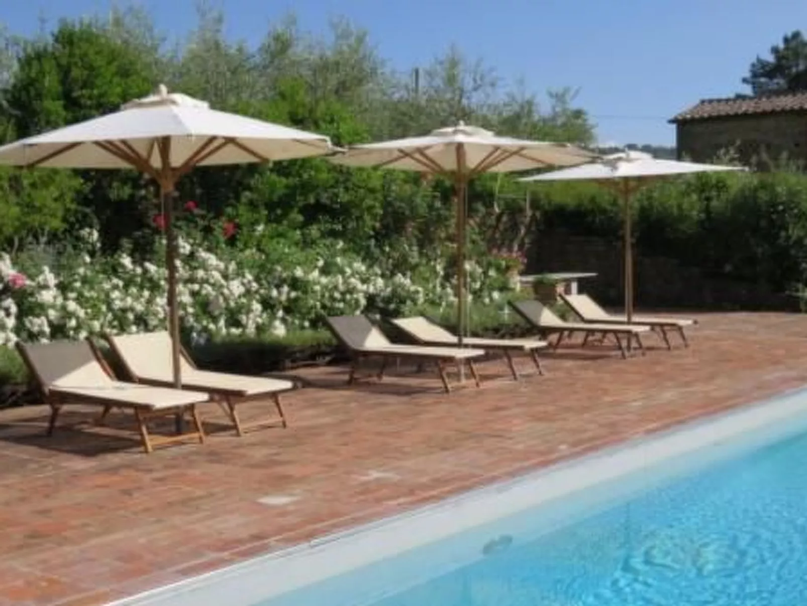 Podere Campolungo - Lo Studio-Buiten