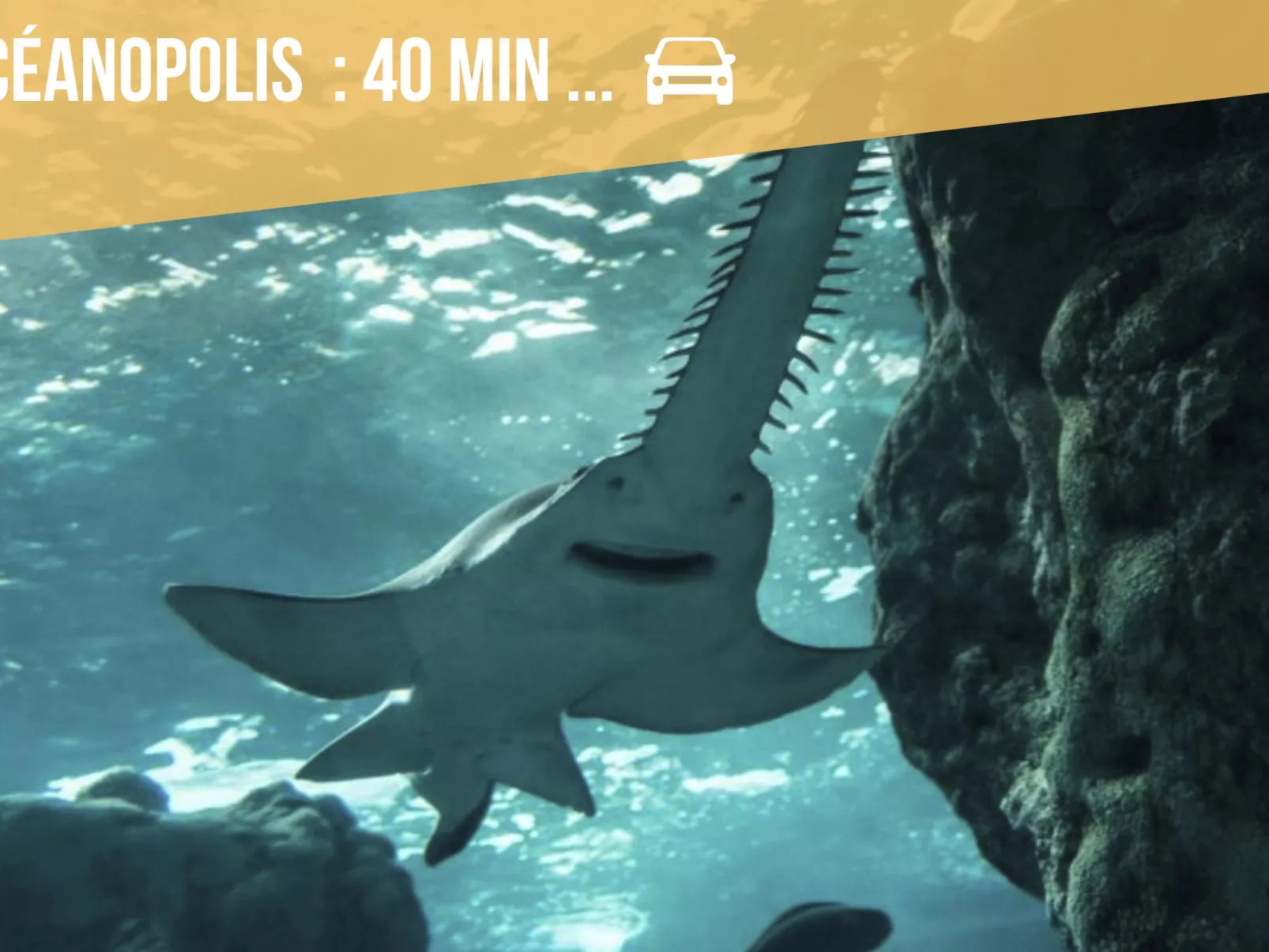 Das Dolmengebäude Clara-Buiten