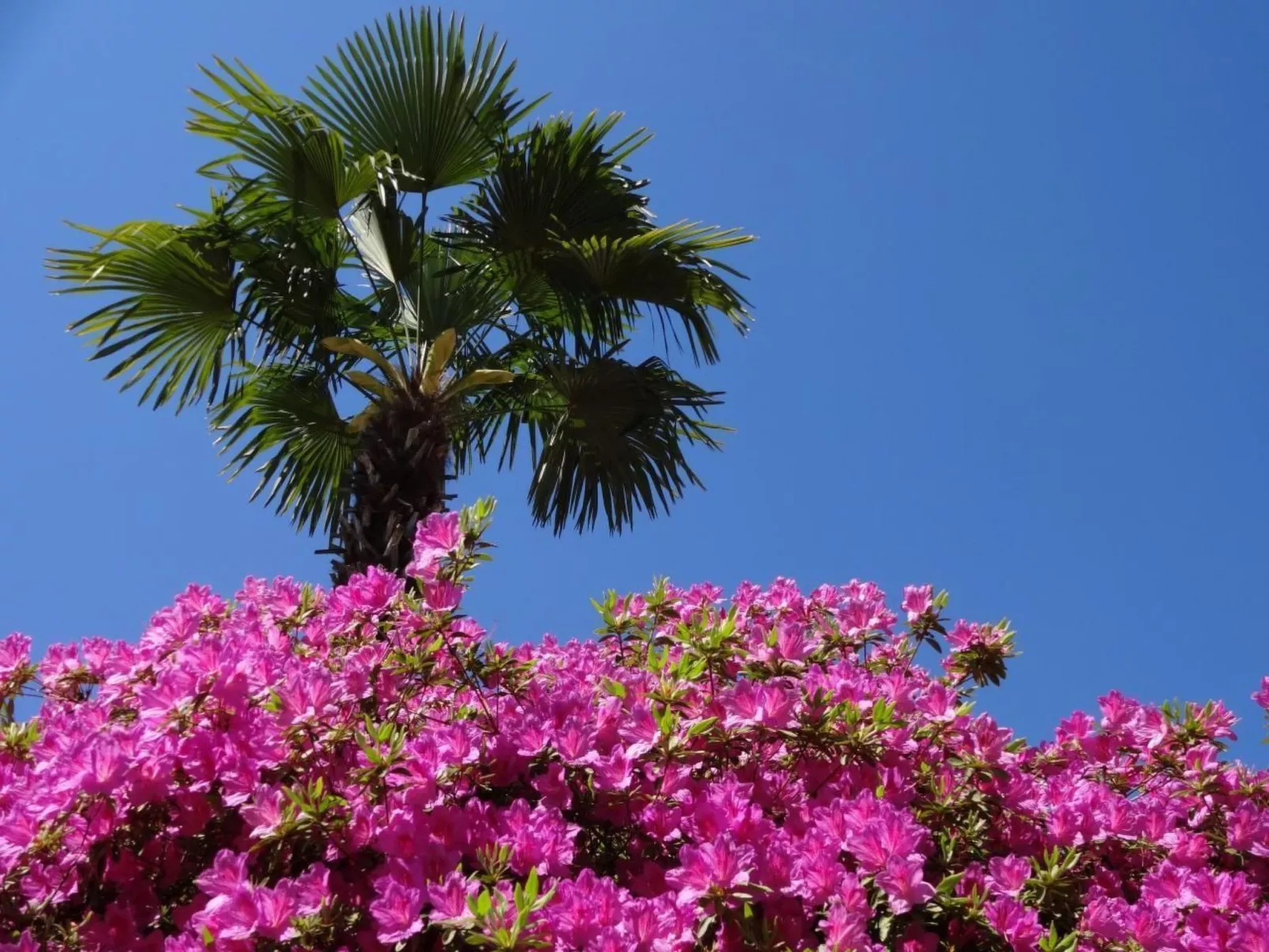 Öko-Haus B Schwimmbad Garten herrlicher Seeblick-Buiten