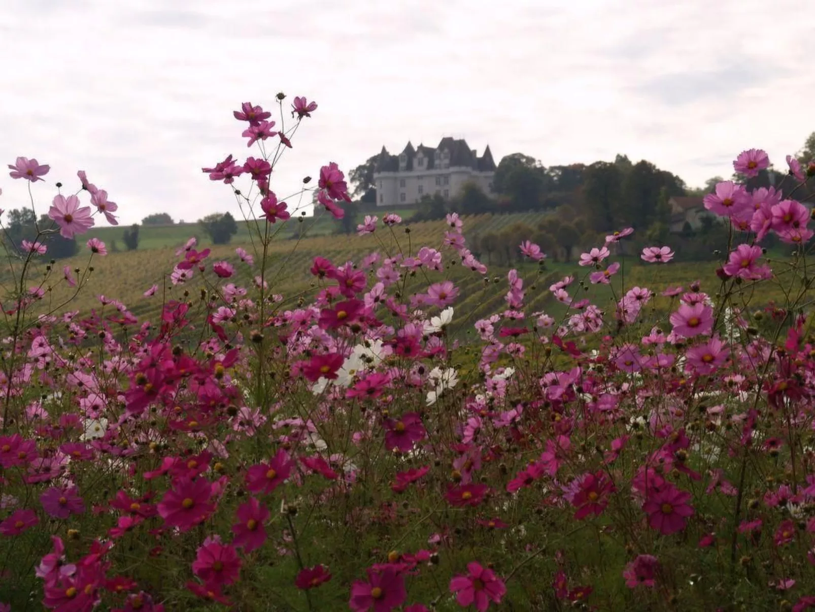 Villa DUXCAAR Beaum.-Buiten