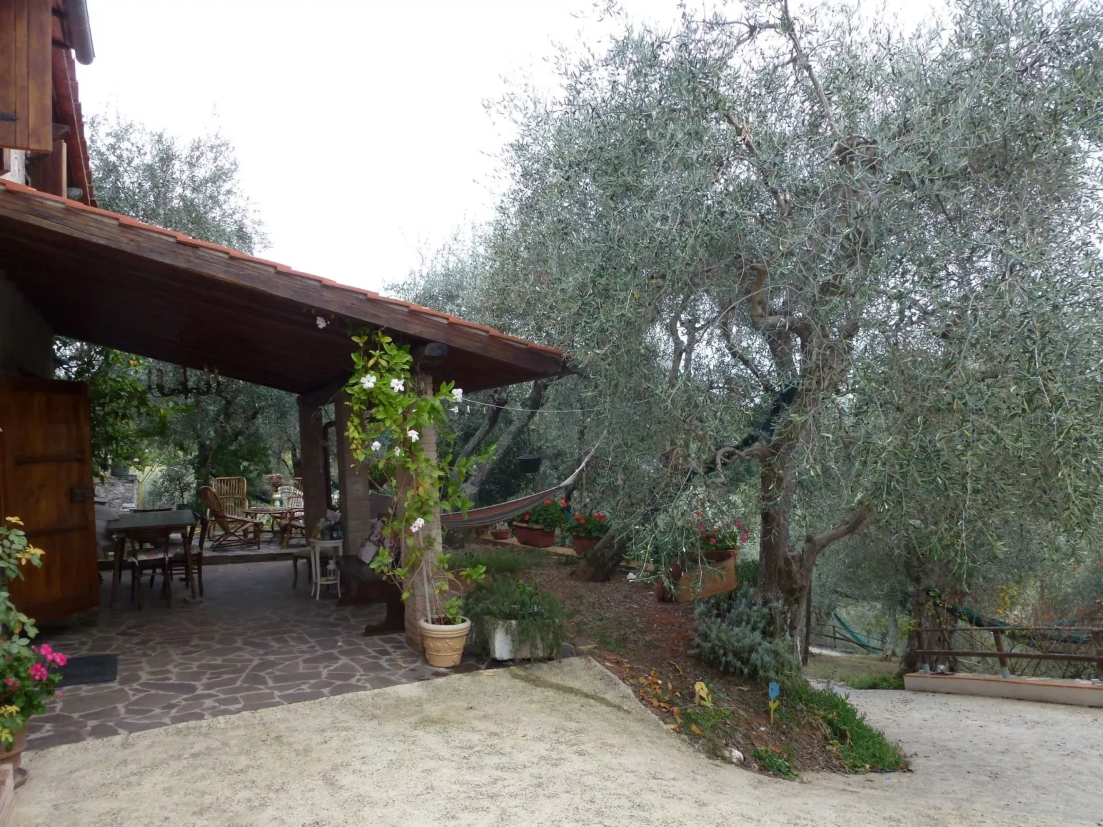 Rustico inmitten eines Olivenhainens-Image-tags.info