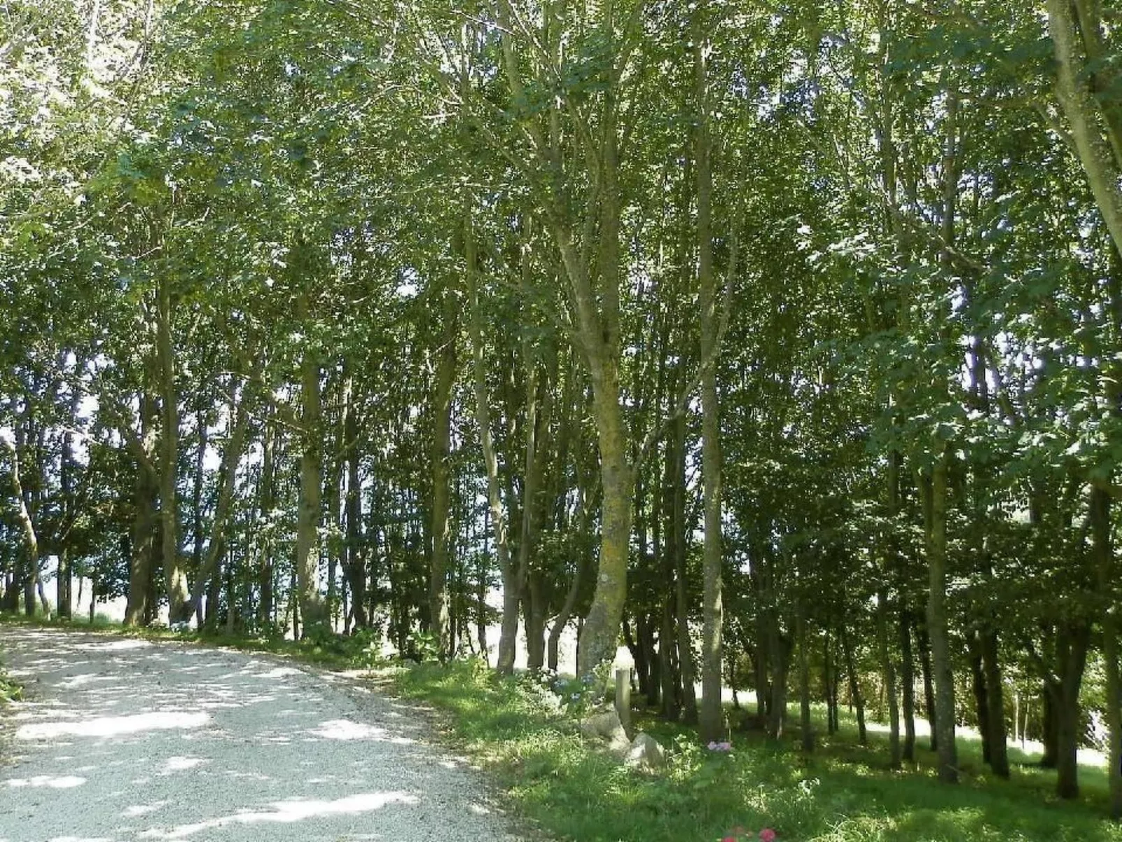 "Tromeal Lasalle" blick auf das Meer. Mit 4 Sternen klassifiziert-Buiten