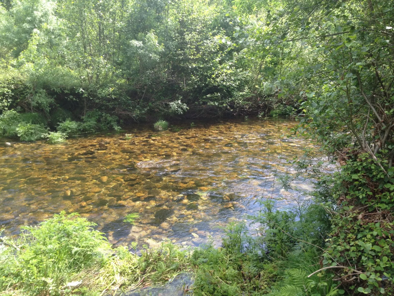 "Großmutters Häuschen" mit überdachter Terrasse-Buiten
