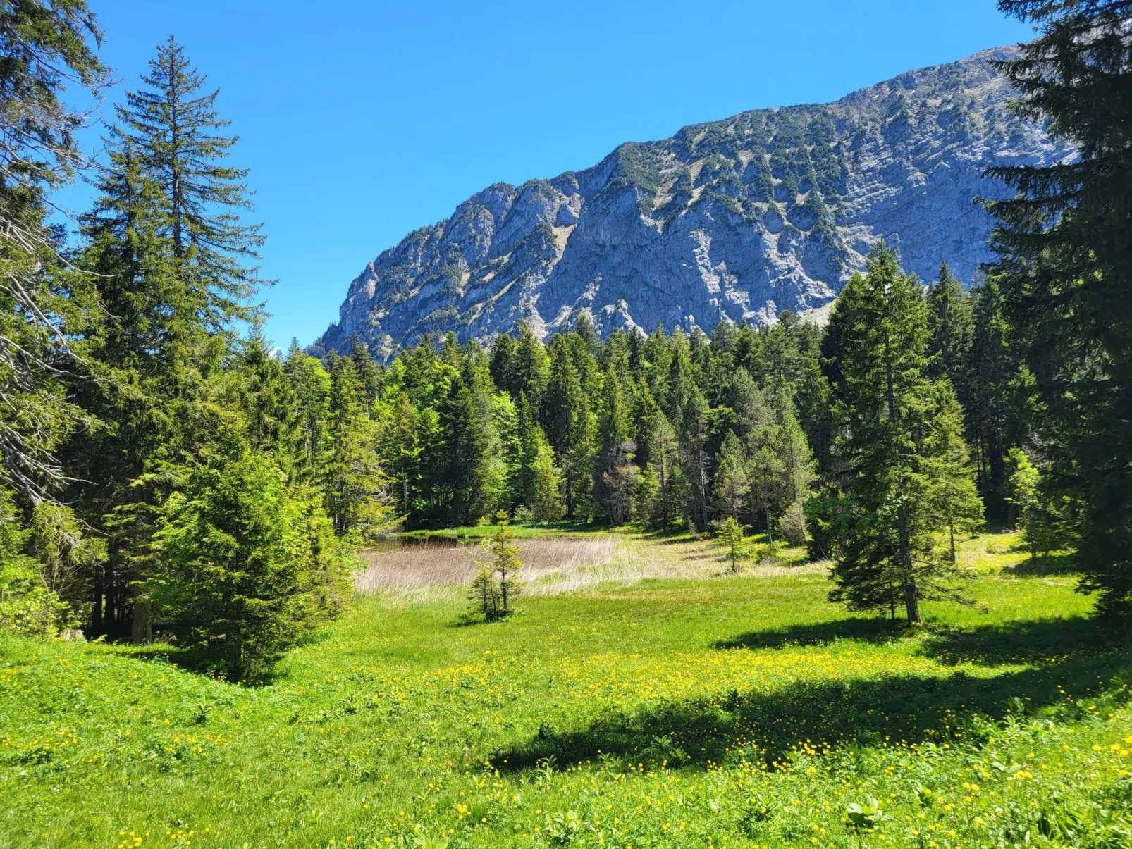 Fewo Pistenblick-Buiten