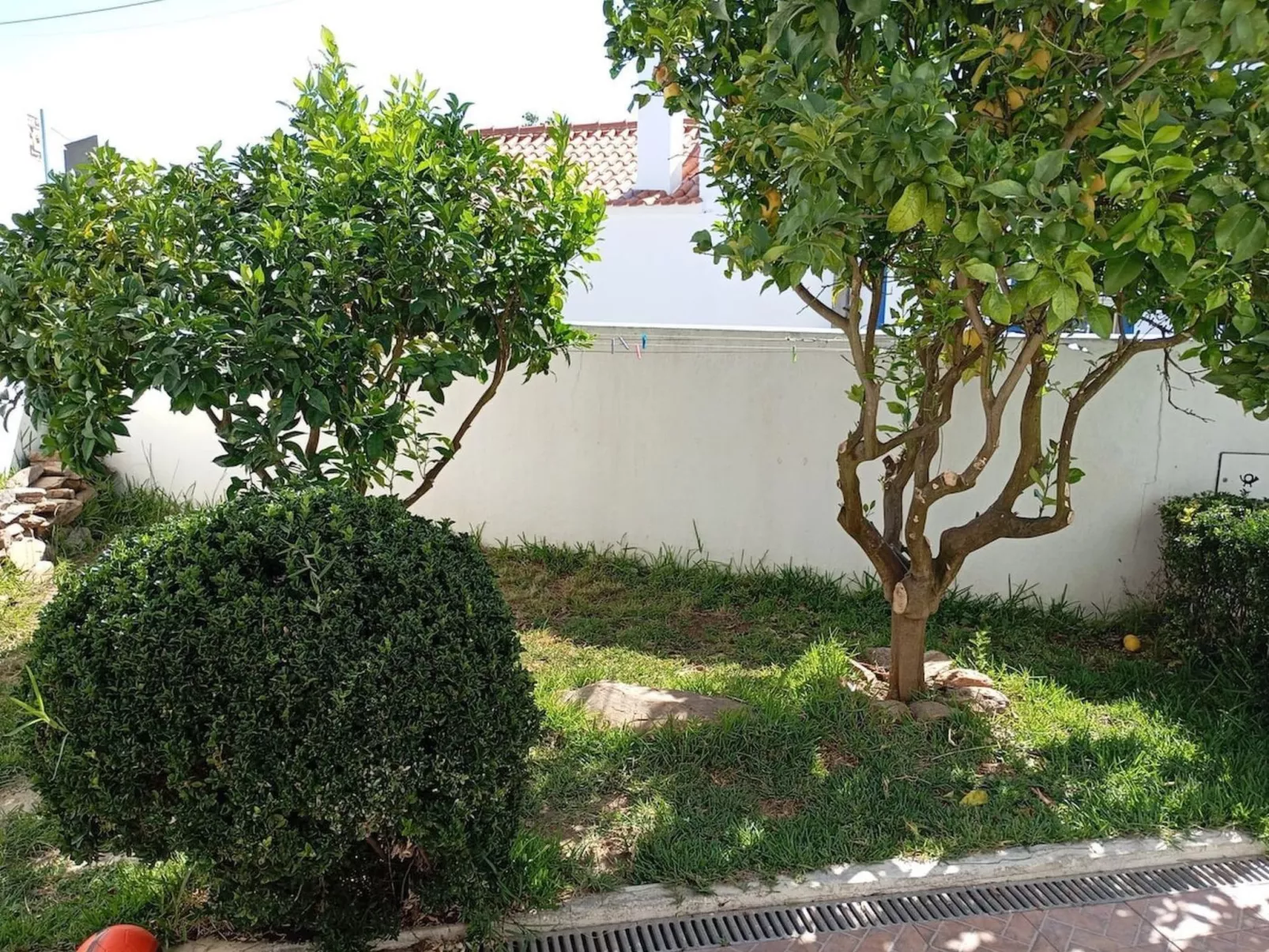 Erholen und Entspannen im Alentejo-Image-tags.info