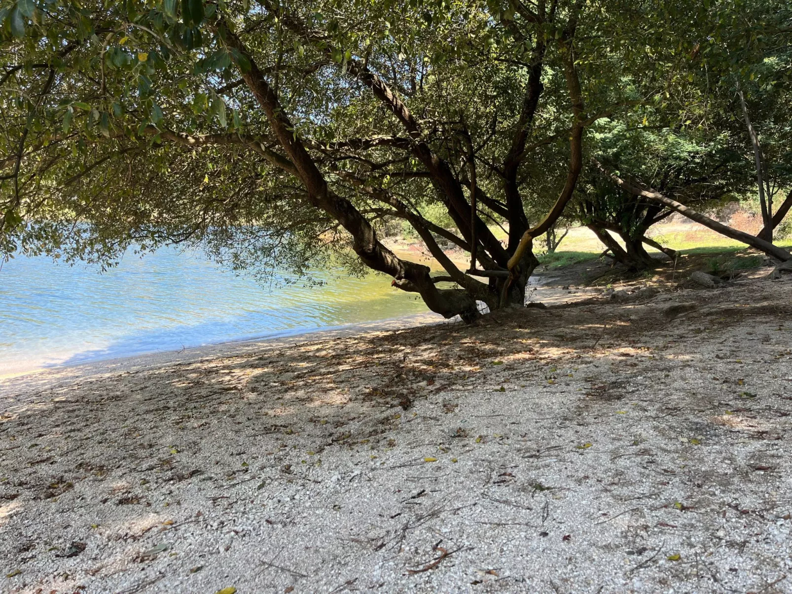 Casa da Lage -Piso 0 - Image-tags.info