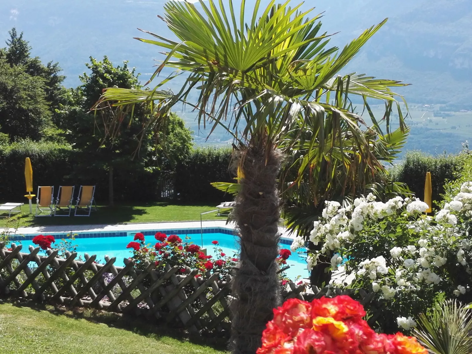 Apartment Merlot in Kurtatsch mit Panoramablick-Buiten