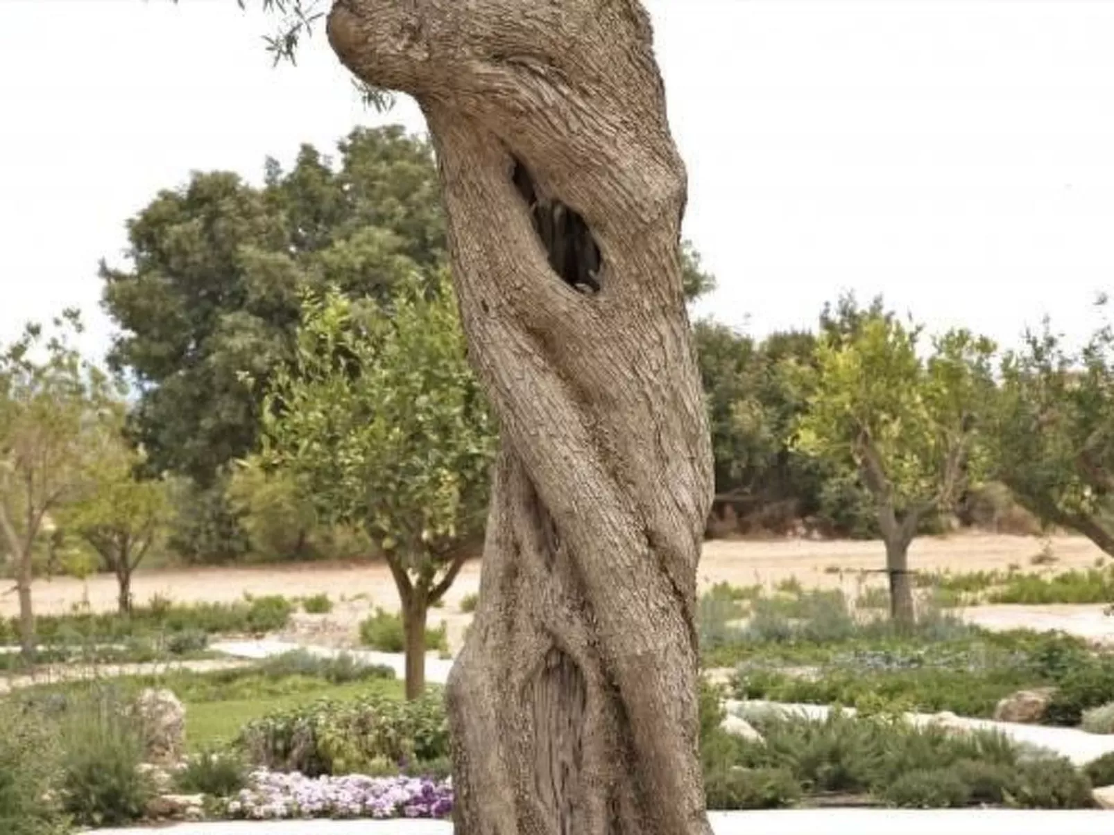 Villa Vendicari in Calabernardo-Image-tags.info