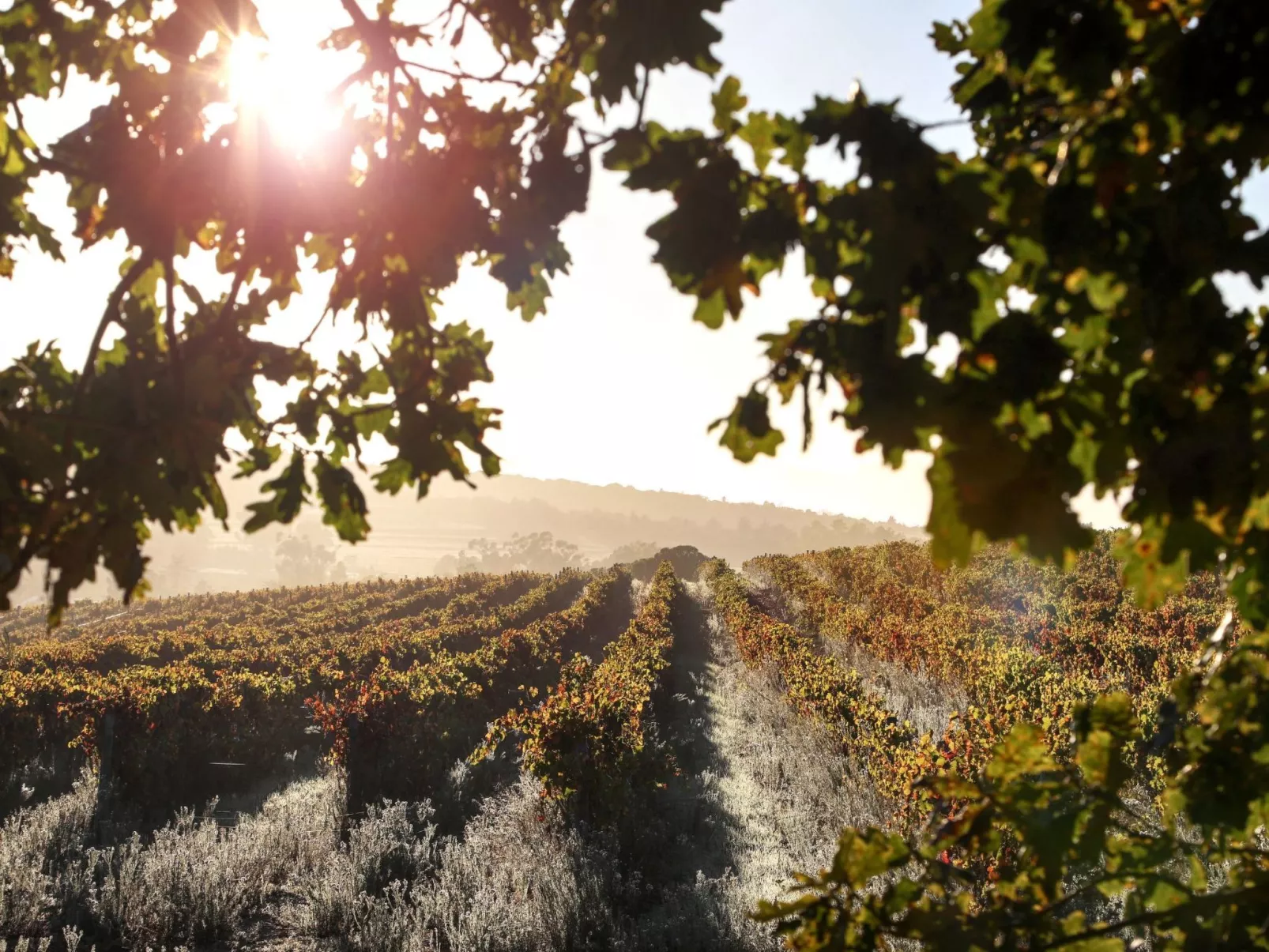 Casa Agave, Entspannung, Wellness und Natur in der Maremma-Image-tags.info