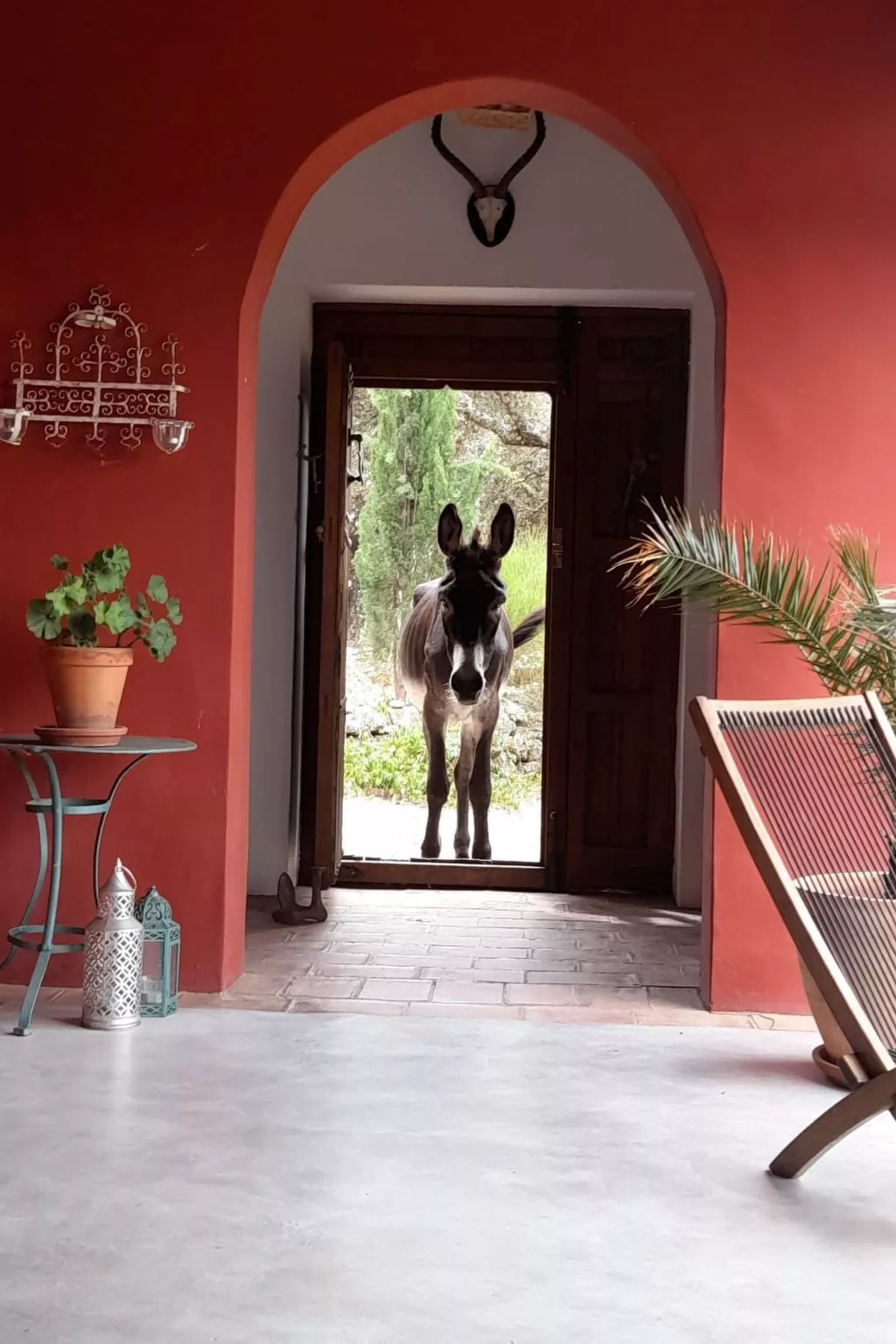 Das Cortijo auf der Finca al-manzil-Image-tags.info