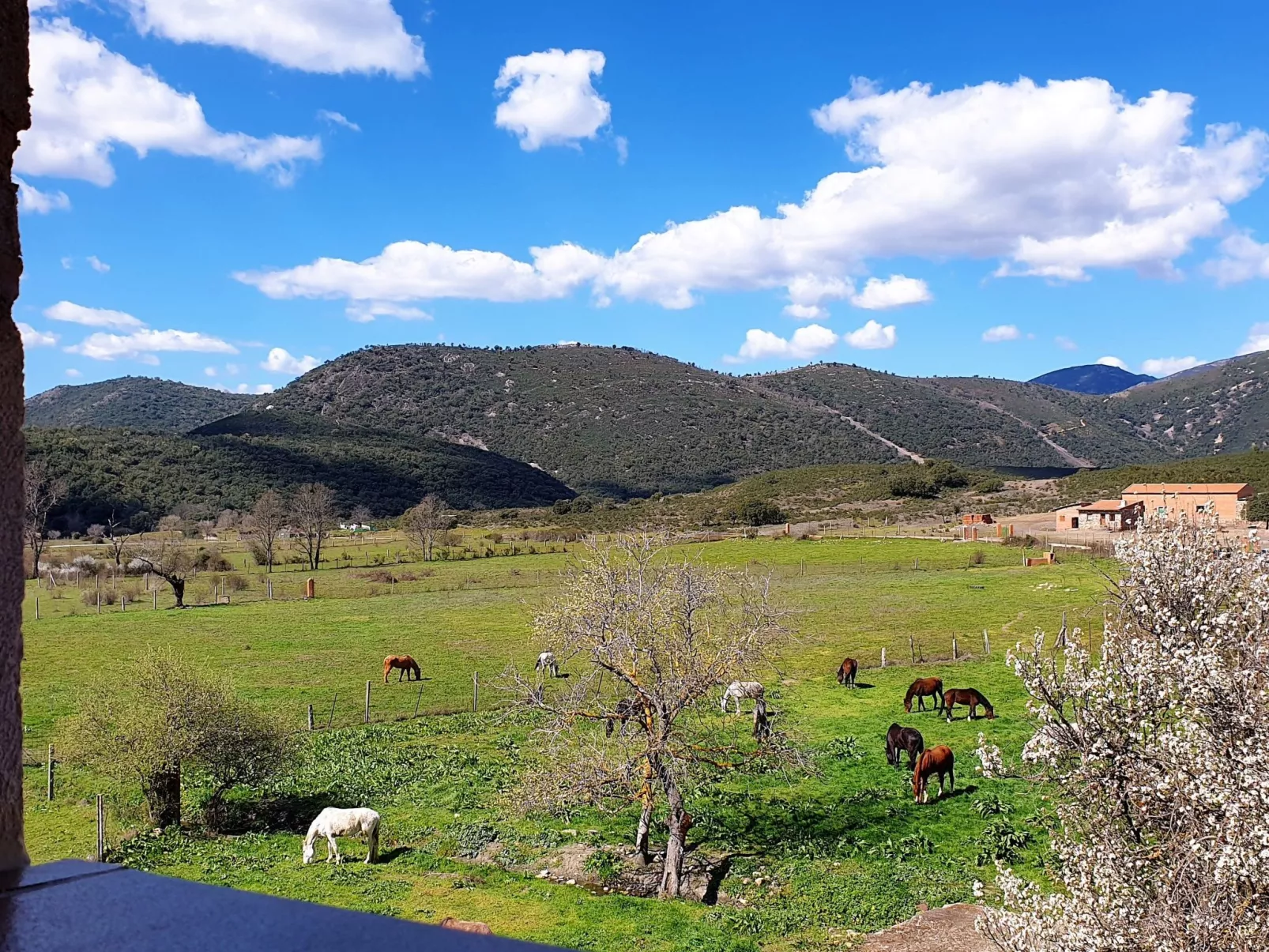 Mit privatem Pool-Buiten