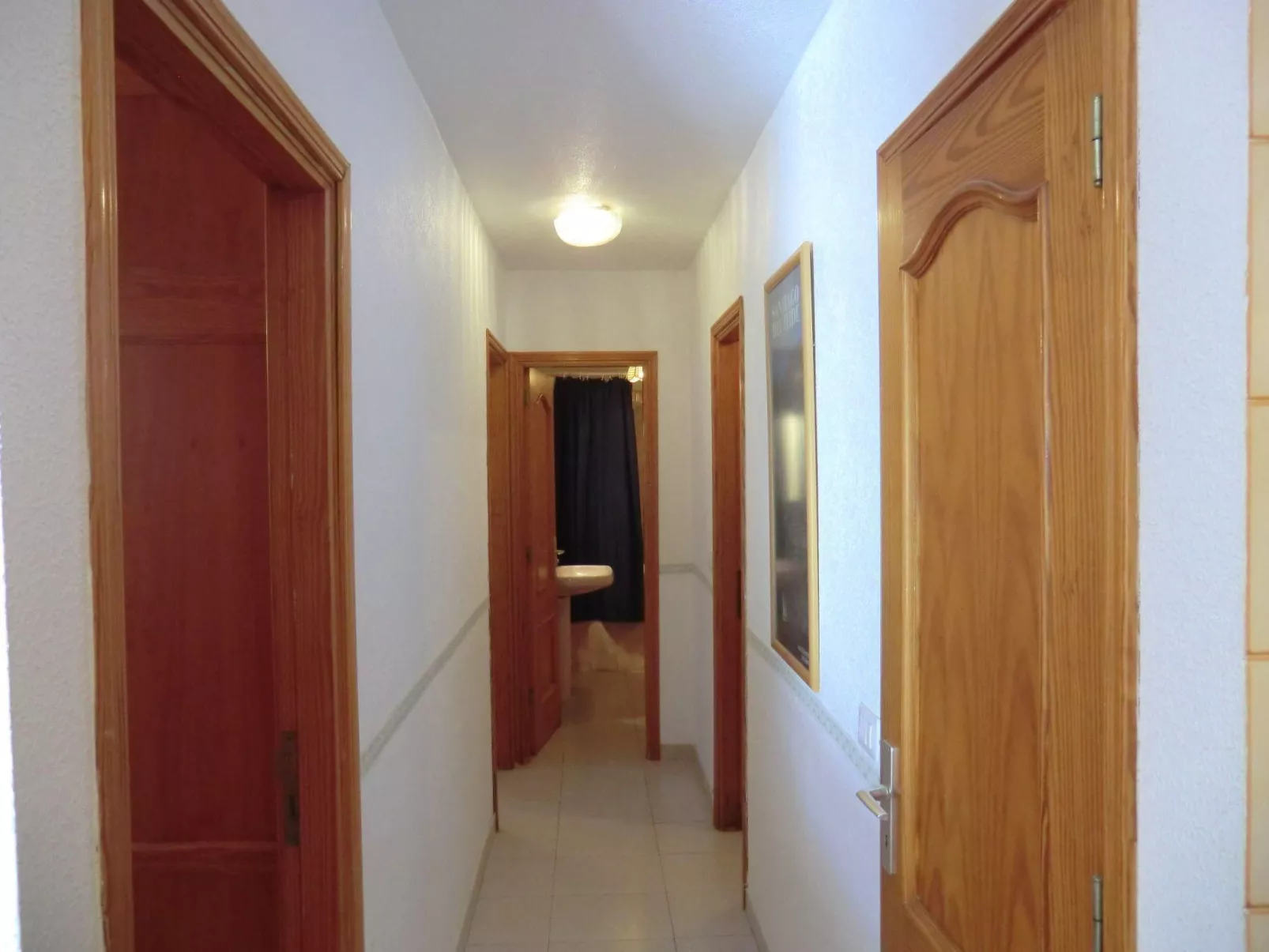 Adelfa-Image-tags.info