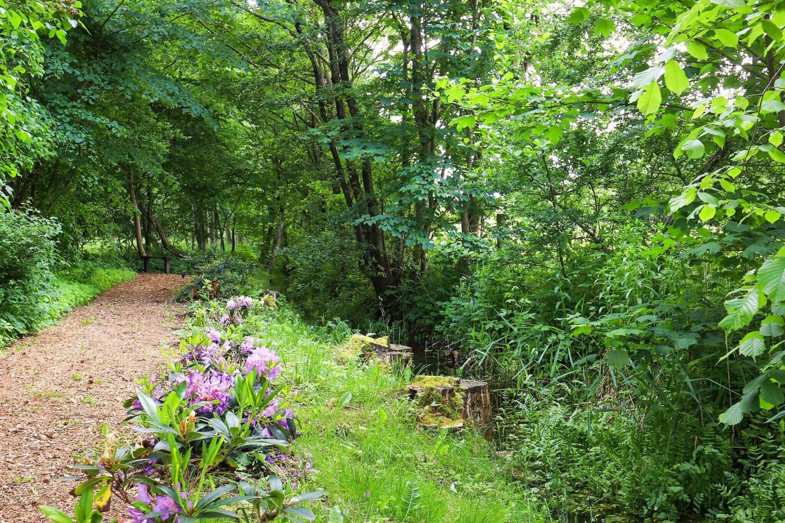 5 persoons vakantie huis in Roslev-By Traum-Uitzicht