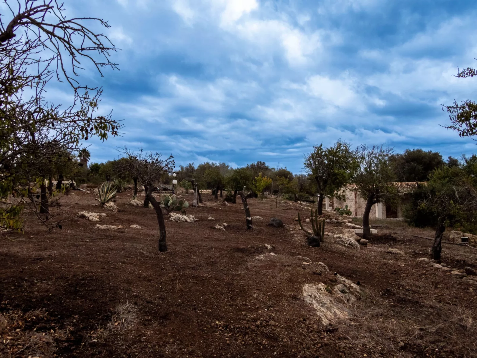 Pizzuta Haus-Image-tags.info