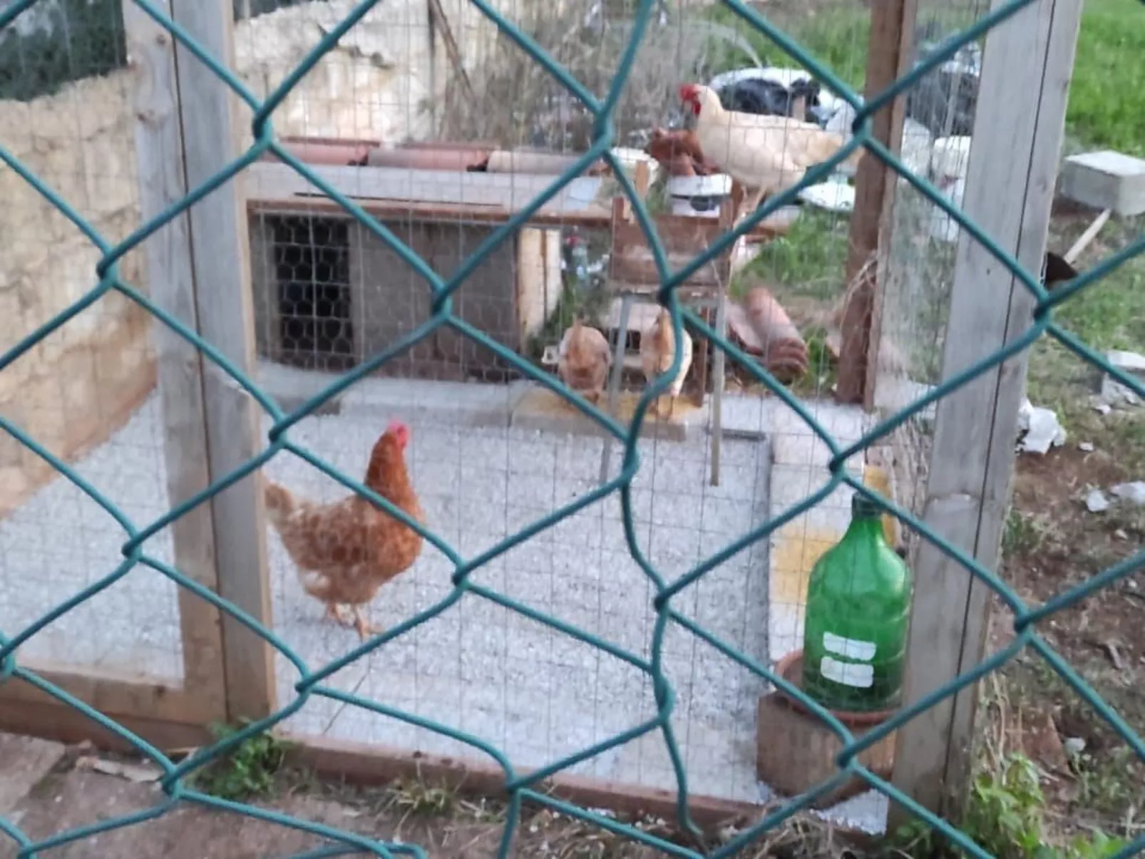 Villa Barone Landhaus mit Pool-Image-tags.info