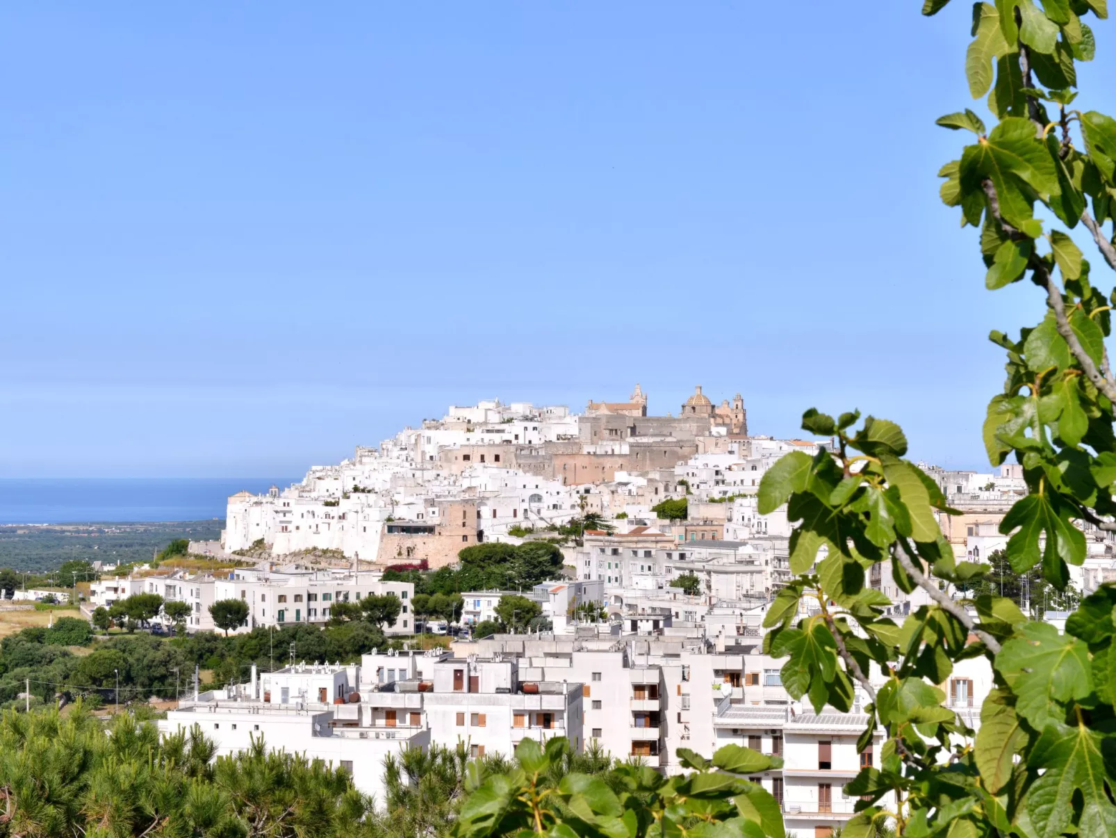 Villa Venere - Panoramapool - Aussicht WOW!-Buiten