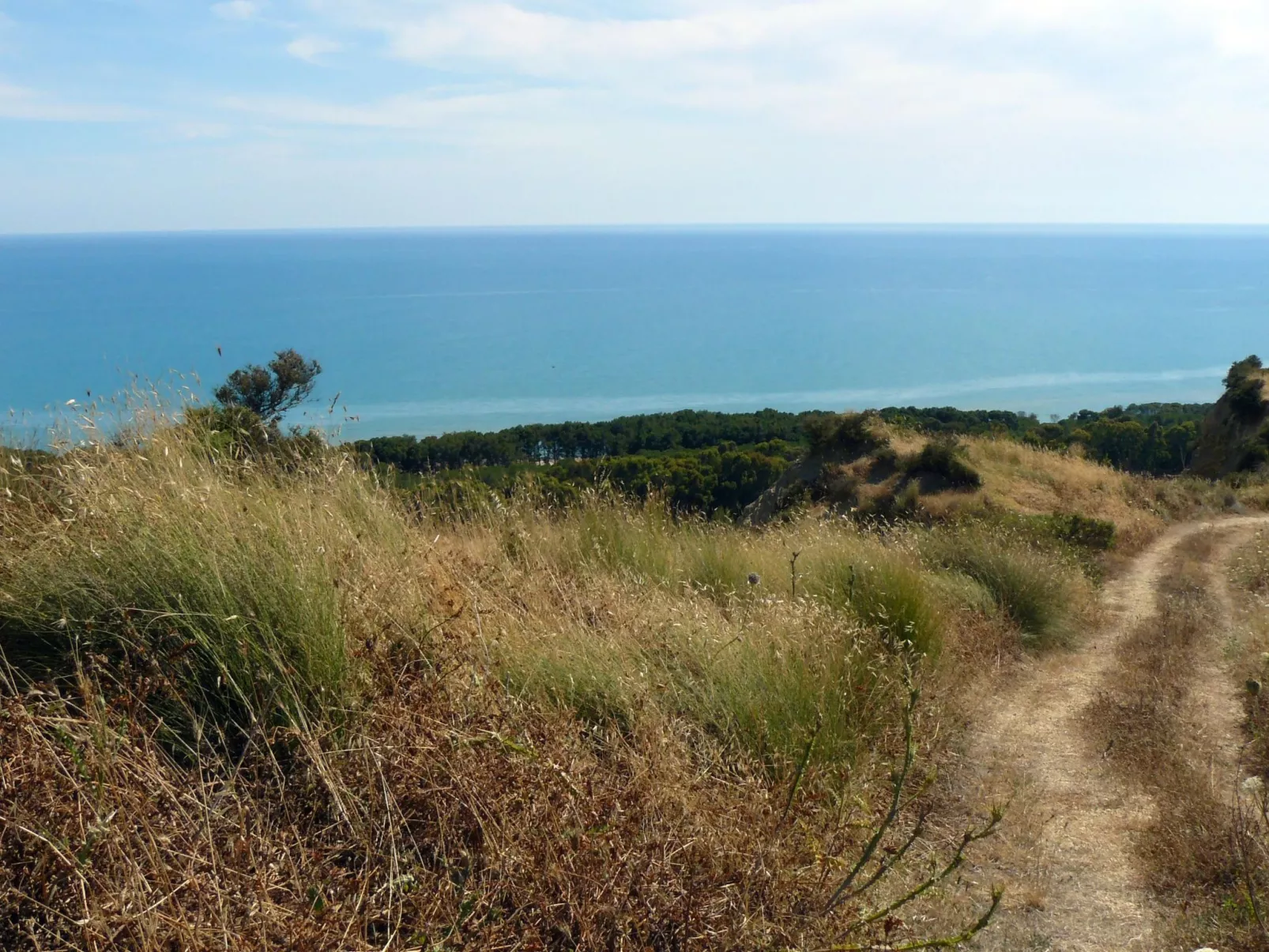 Wohnung 3 - Zwei-Zimmer-Wohnung-Image-tags.info