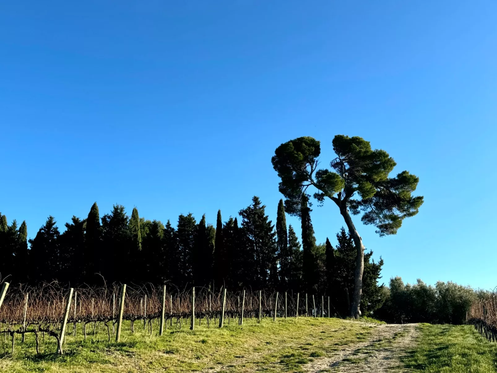 CASA ANCARANO Sirolo-Buiten