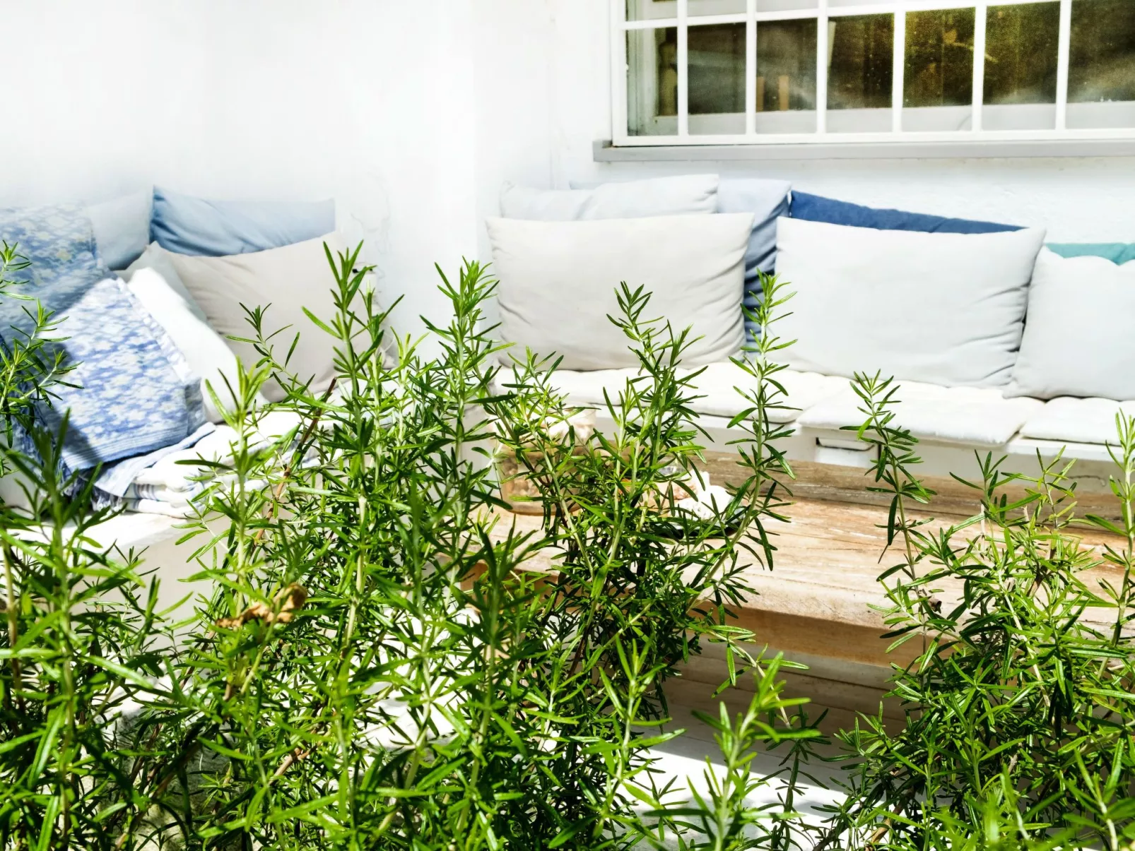 Rom Palocco - Wohnung mit Garten-Buiten