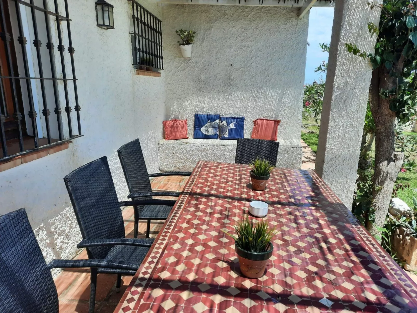 Tortugas-Image-tags.info