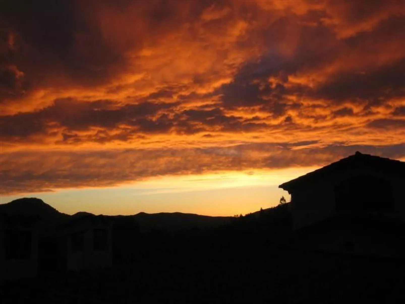 Natur, ökologische Nachhaltigkeit, nur für Erwachsene, Meer in der Nähe-Buiten