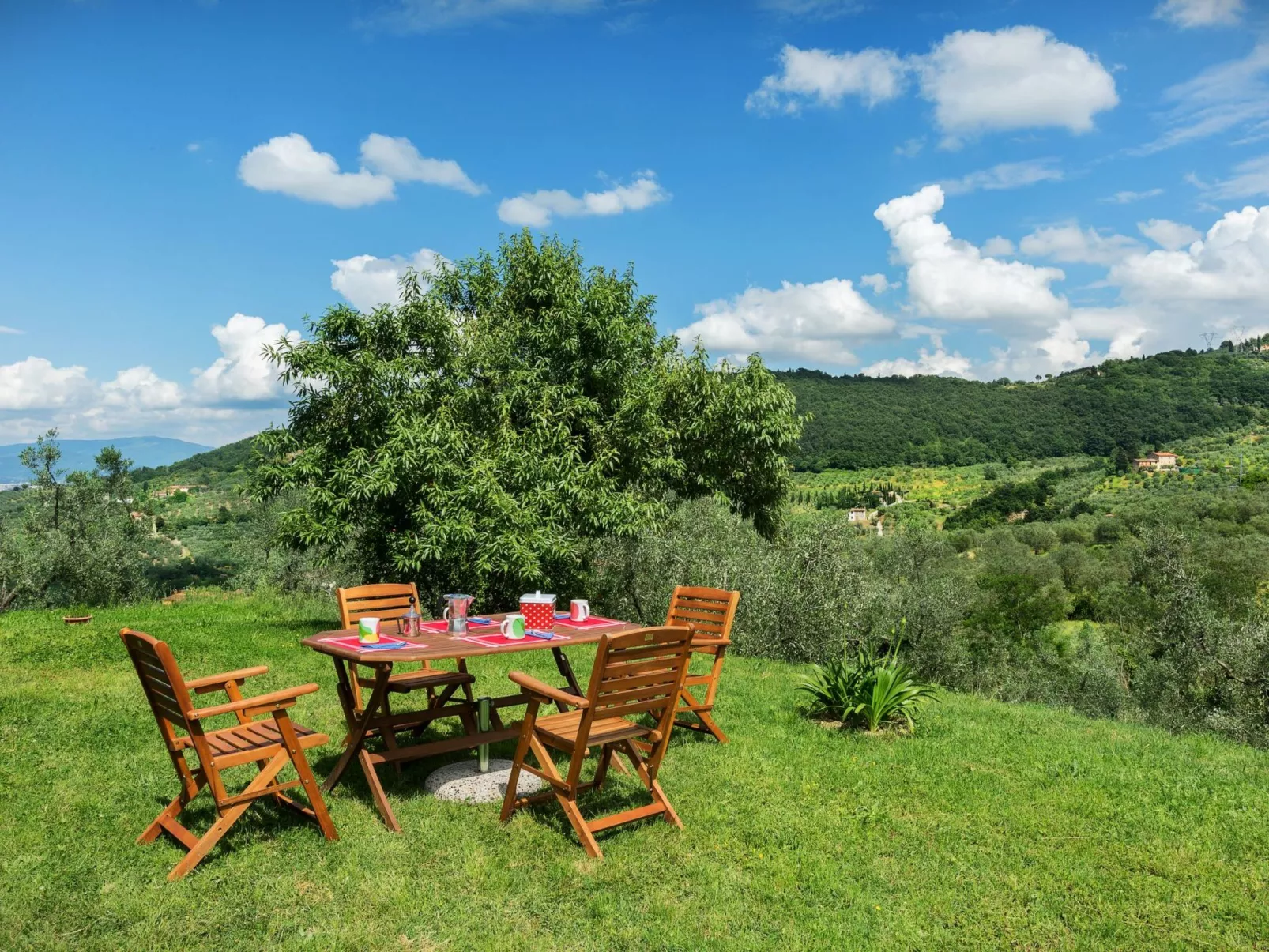 Ein Haus in der Olivenhaine - casa buriano GIULIA-Image-tags.info