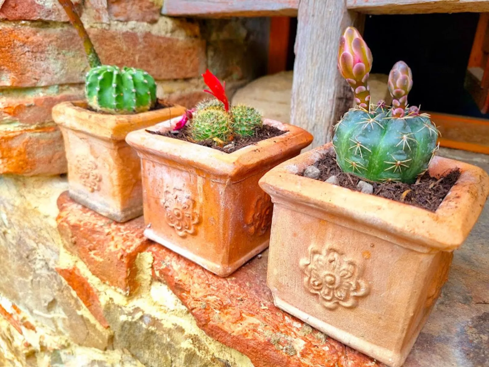 Podere Mencoini Elegante Villa mit Pool und Olivenbäumen-Buiten