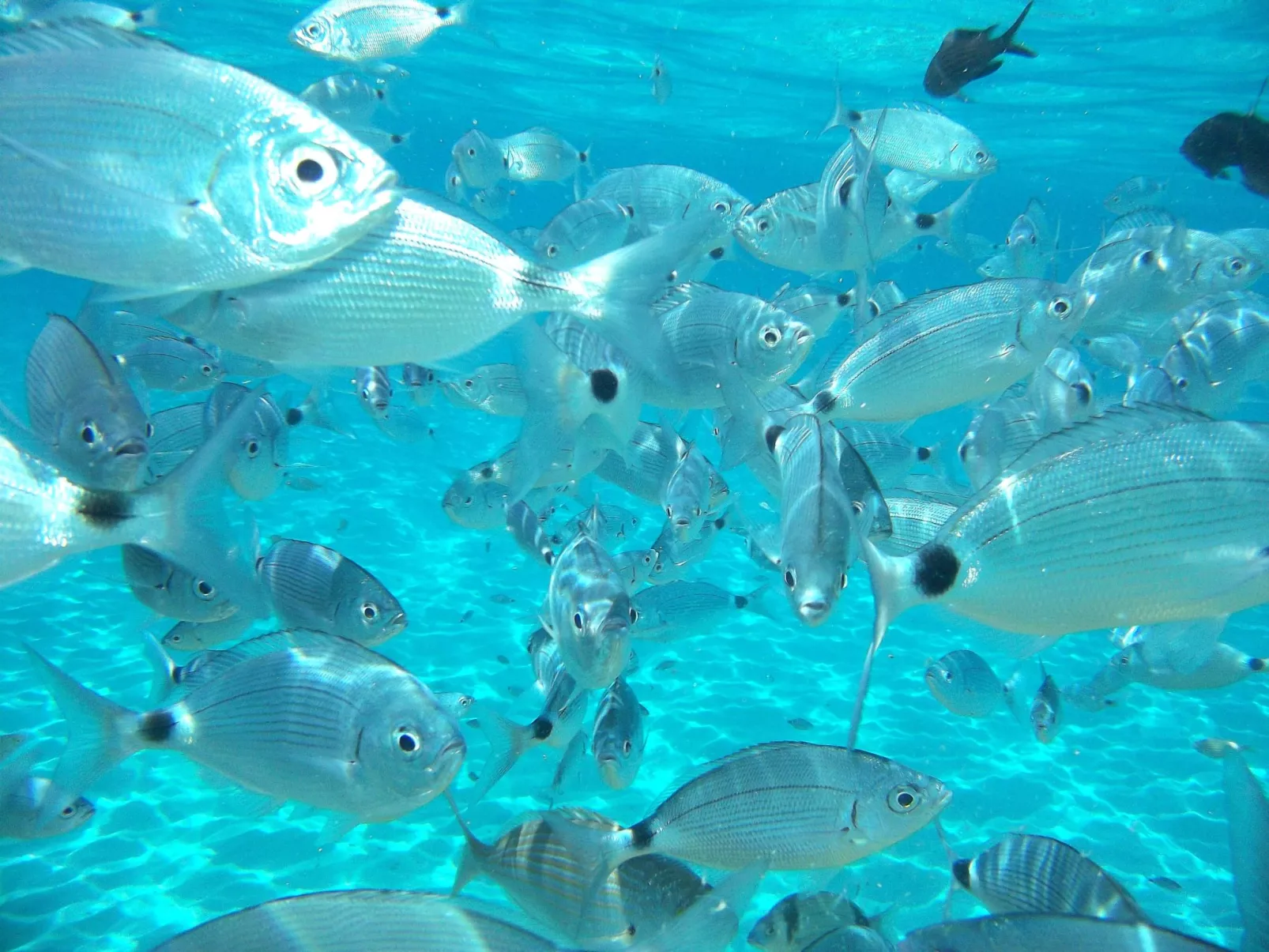 Bilocale 11-Image-tags.info