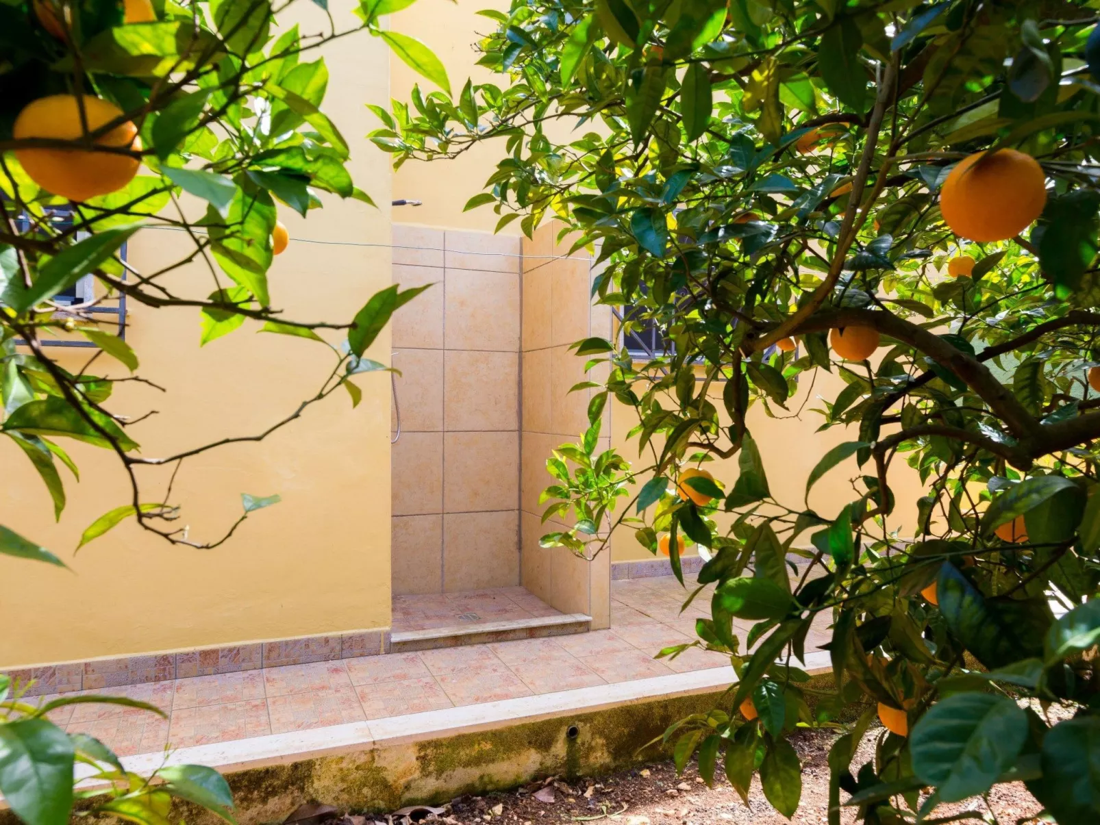 Villa Mediterranea - Image-tags.info