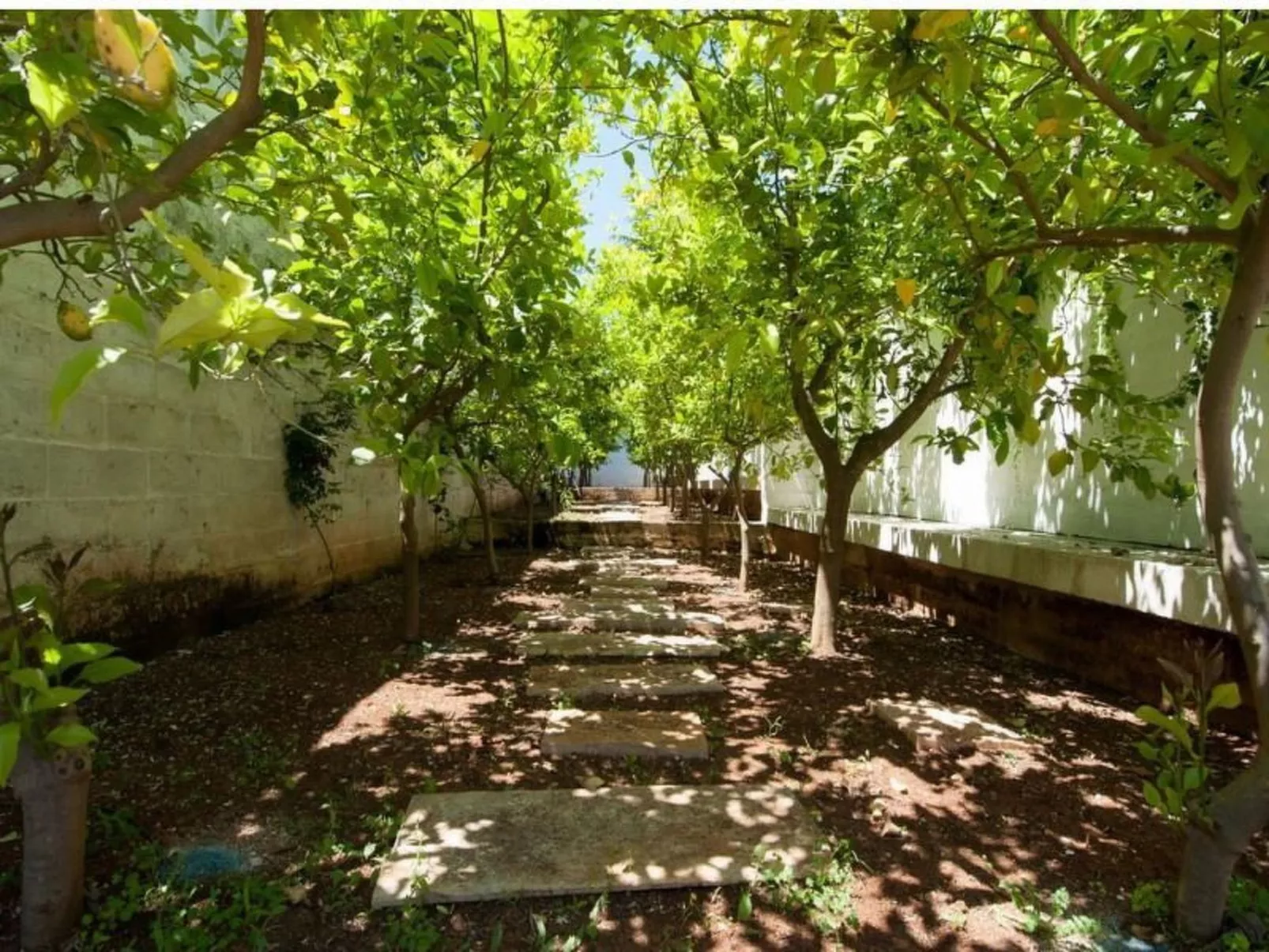 Villa mit privatem Pool in der Nähe der adriatischen Strände-Image-tags.info