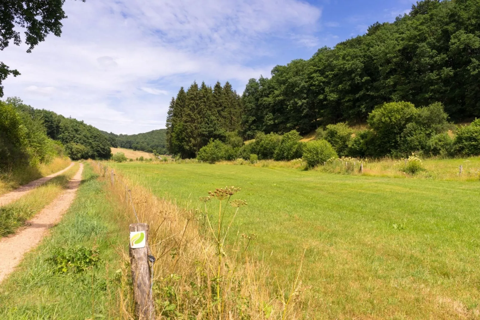 Bungalow Luxus Typ Z Campingpark Eifel-Gebieden zomer 5km