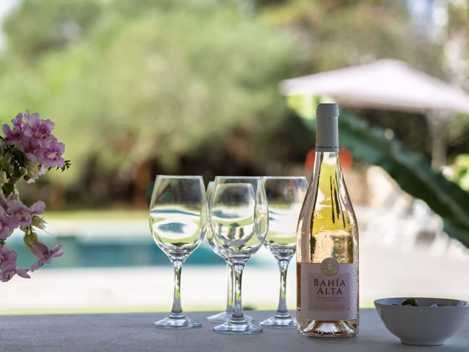 "Vista Molinos"-Image-tags.info