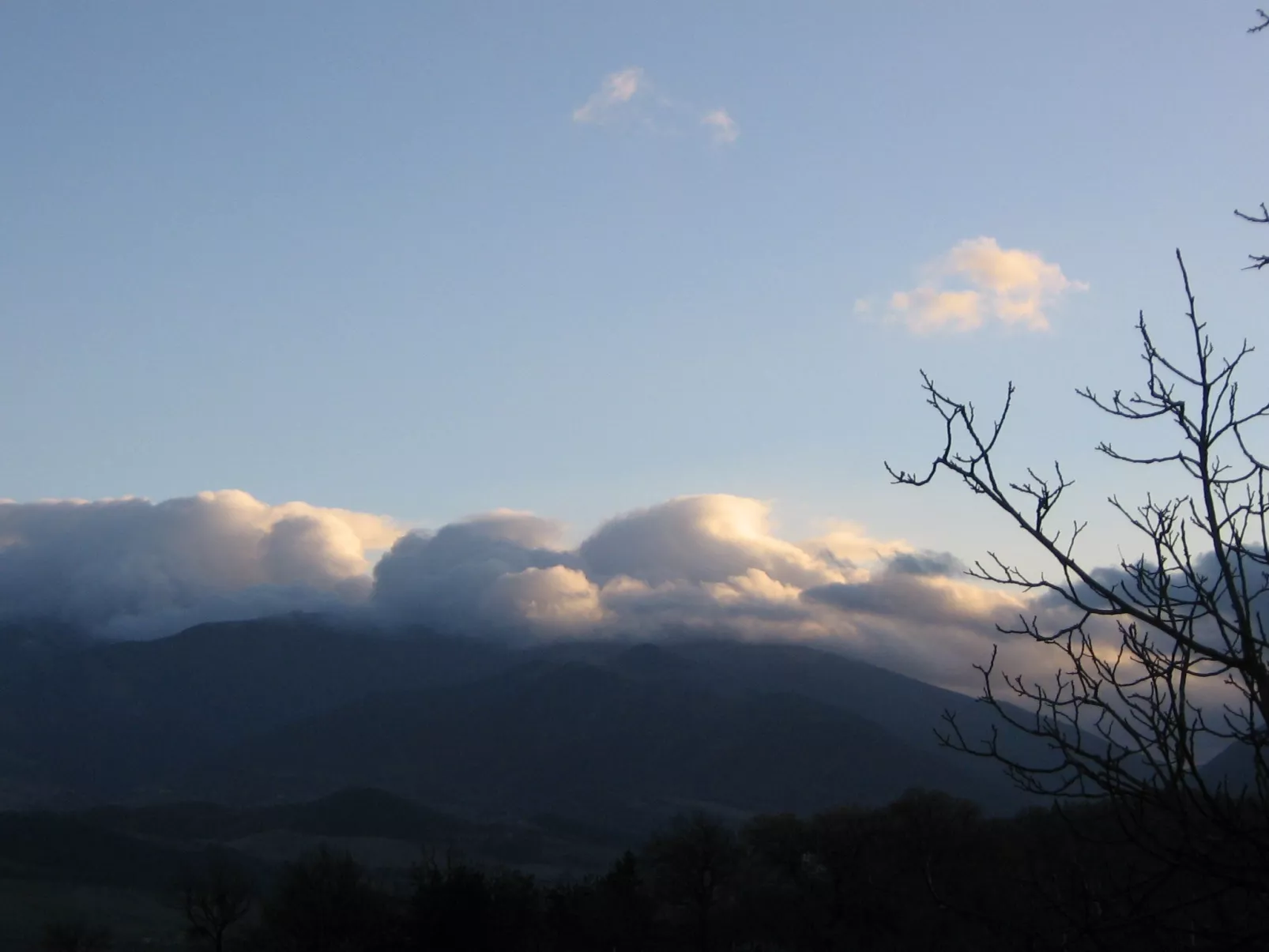 Girasoli in Cagli-Buiten