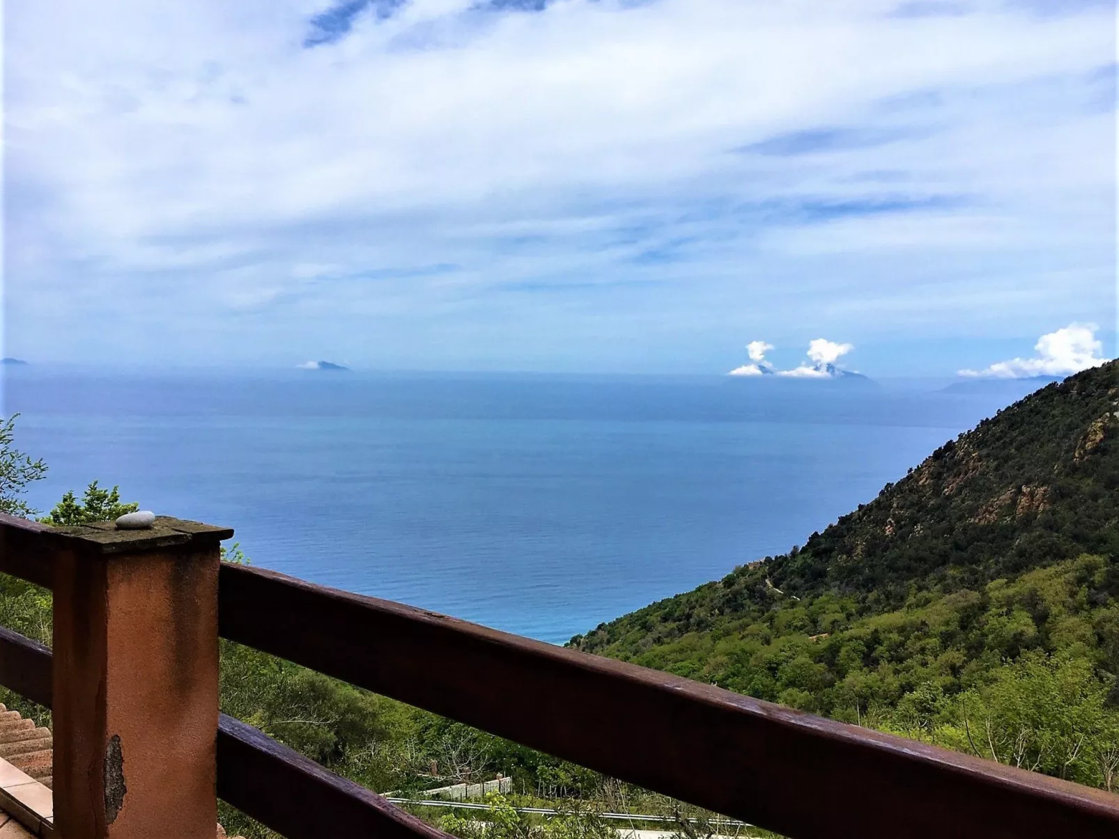 Flache Zeder-Image-tags.info