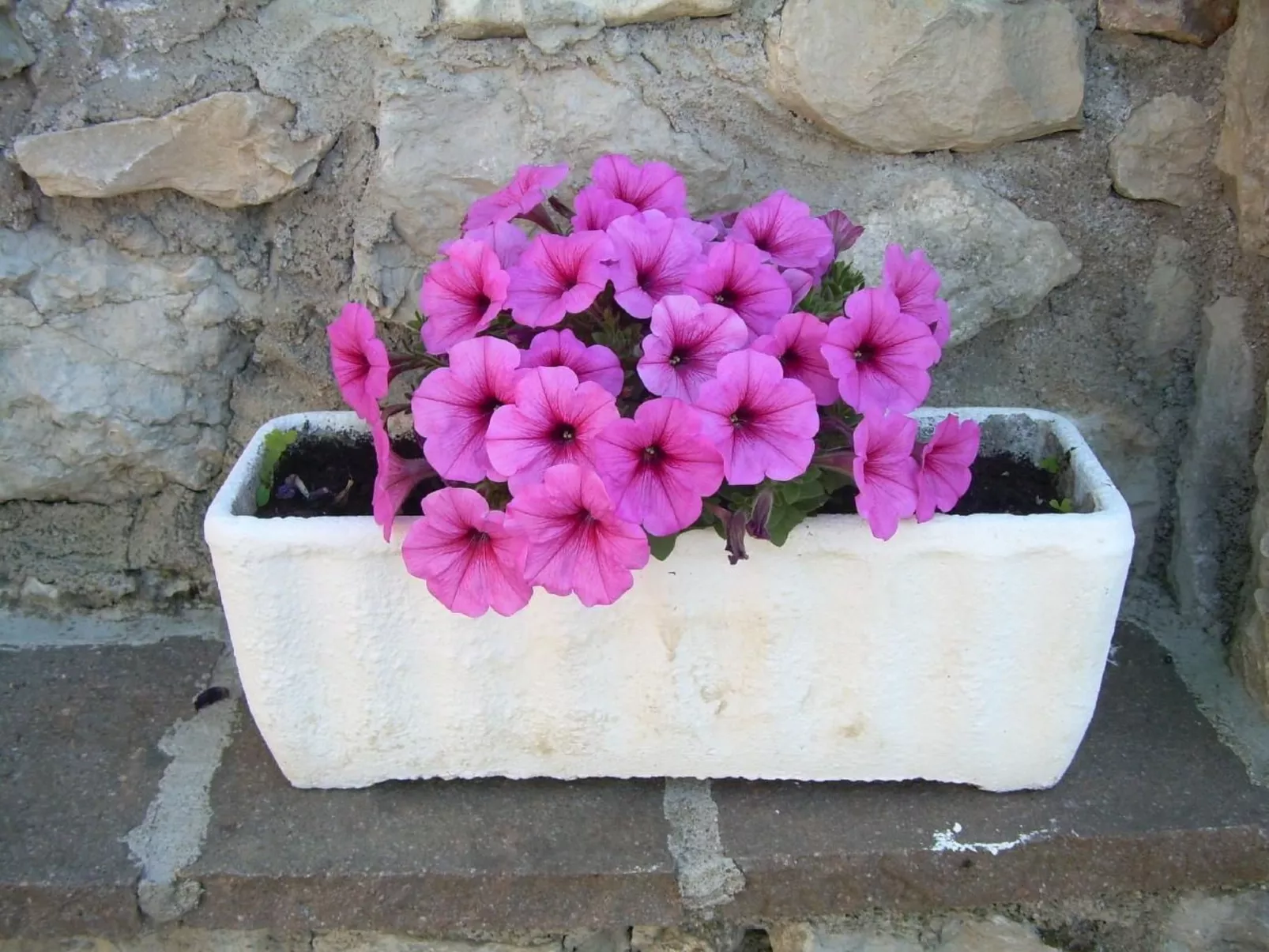 Mit Blick auf das Wasser-Buiten