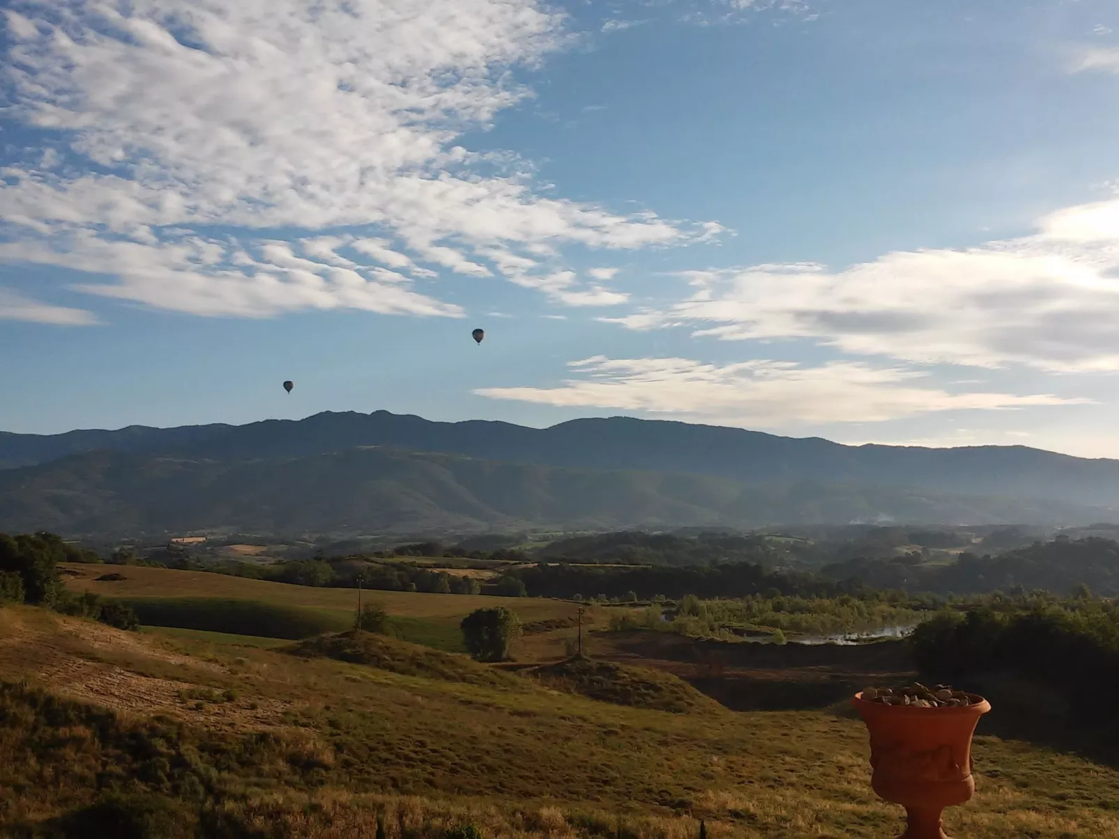 Sonnenblume Wohnung-Image-tags.info